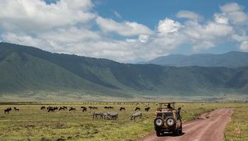 7 Days Tanzania Safari.