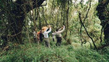 10 days Uganda safaris 