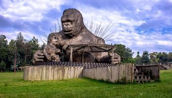 5 Days Rwanda Gorilla trekking Safari 