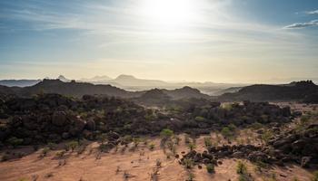 8 Days Namibia Safari 