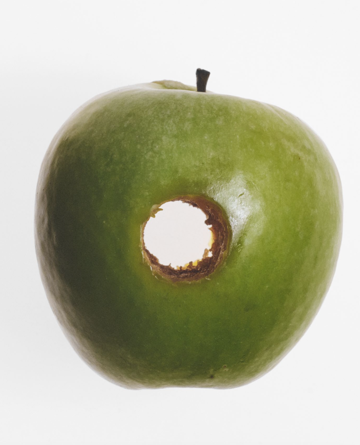 A LULLABY: DAVID SIMS | Beyond Noise