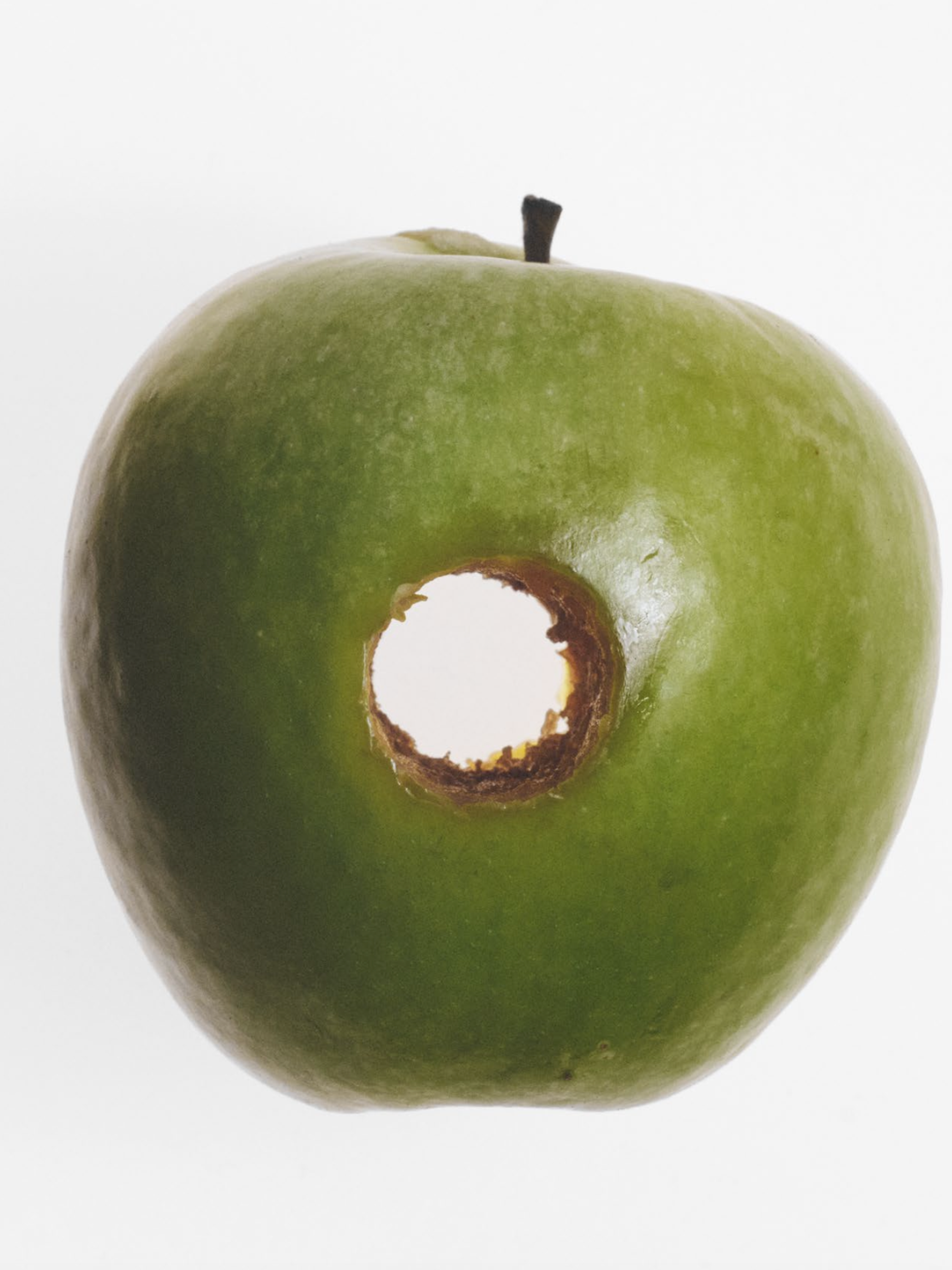 A LULLABY: DAVID SIMS | Beyond Noise