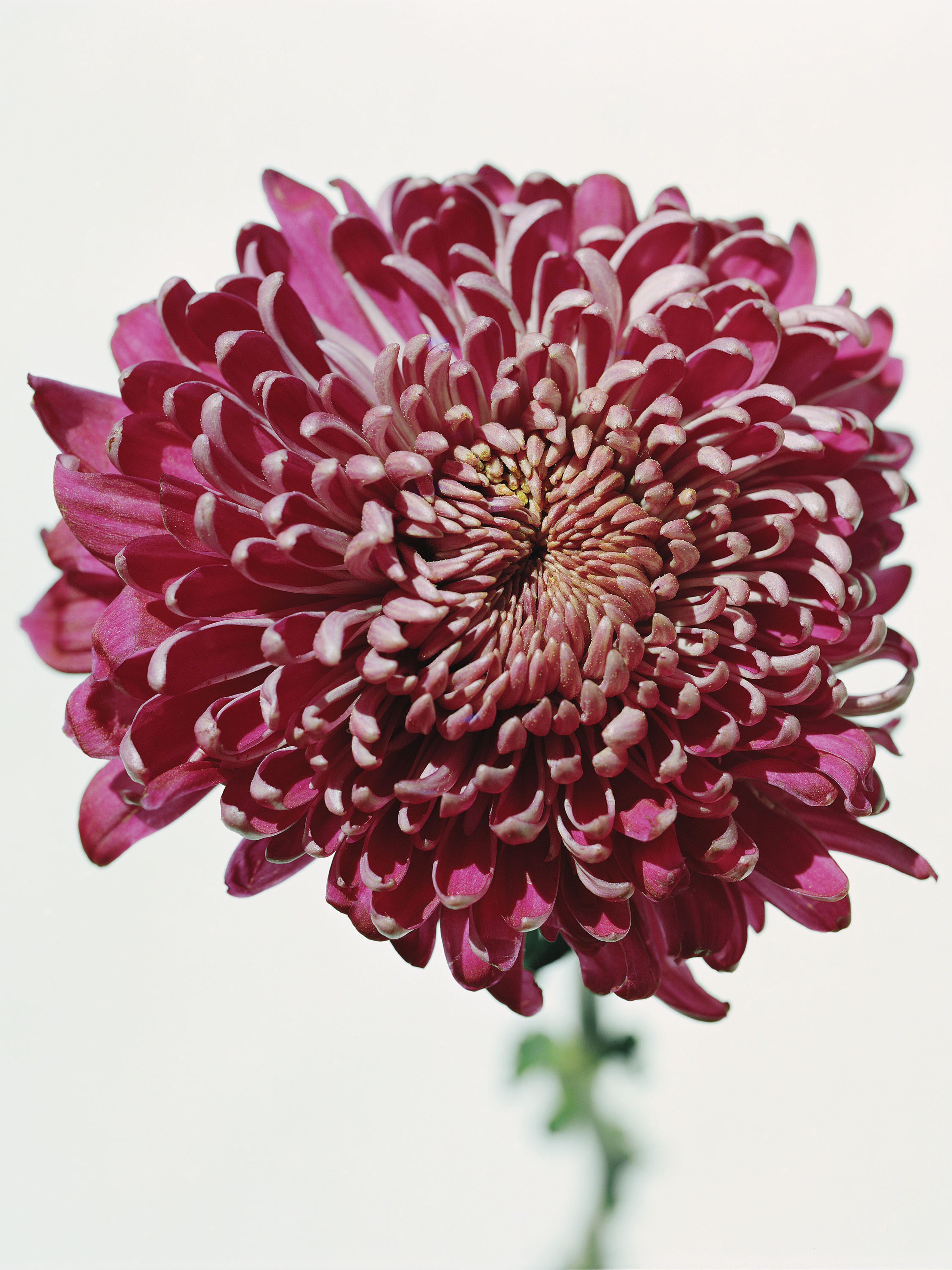 undefined | Beyond Noise