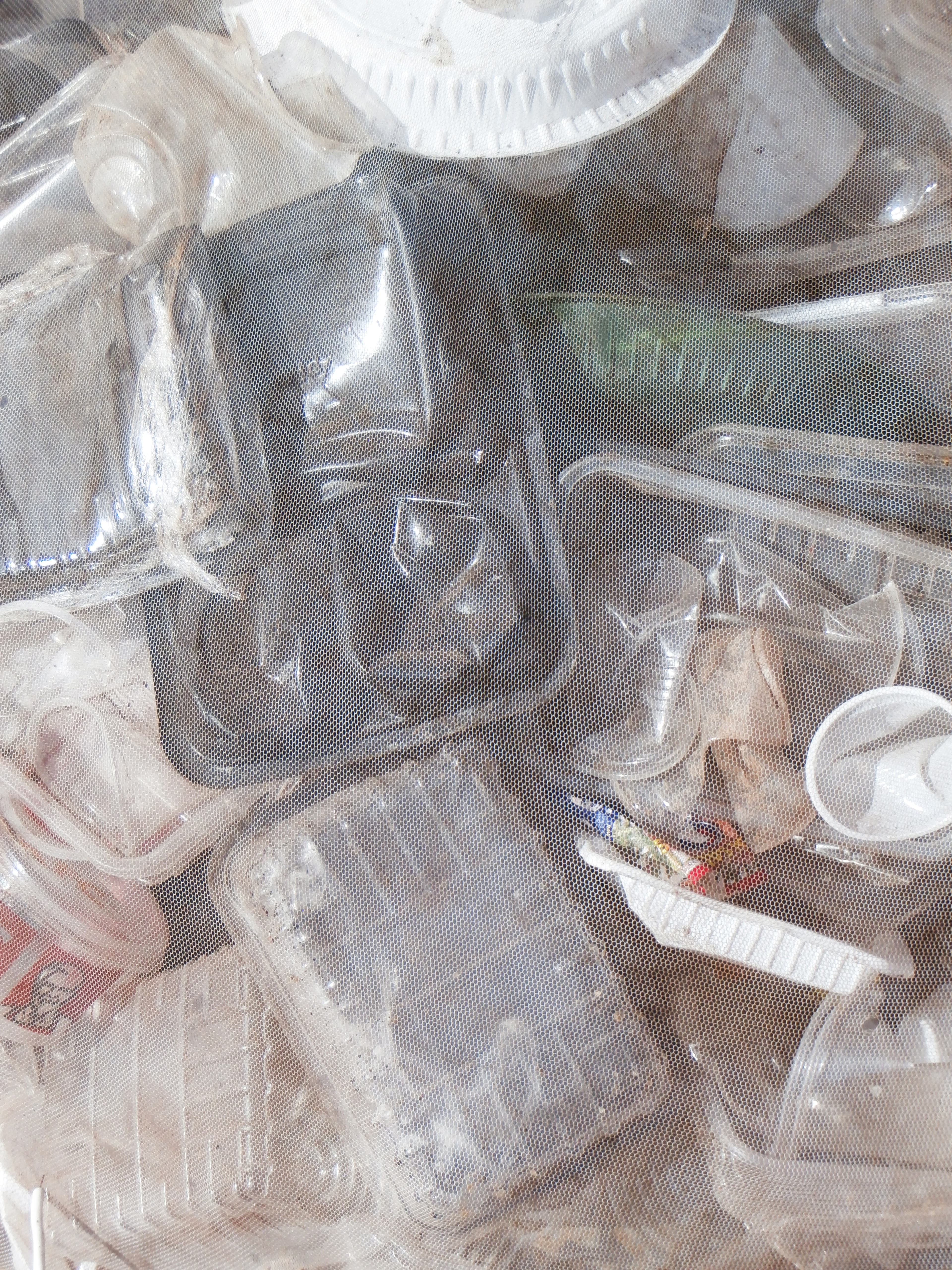 TRASH TO TREASURE: FEE-GLORIA GRÖNEMEYER | Beyond Noise