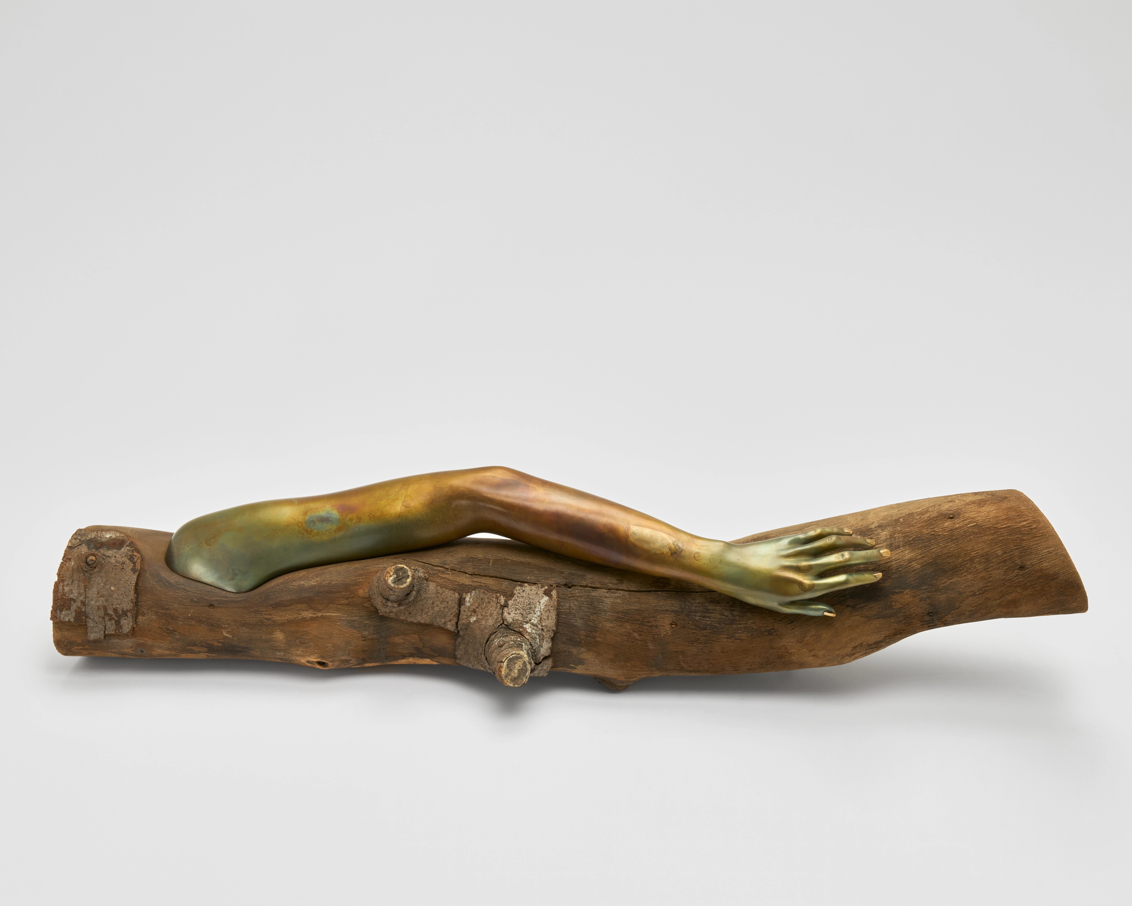 THE MEADOW: ISABELLE ALBUQUERQUE | Beyond Noise