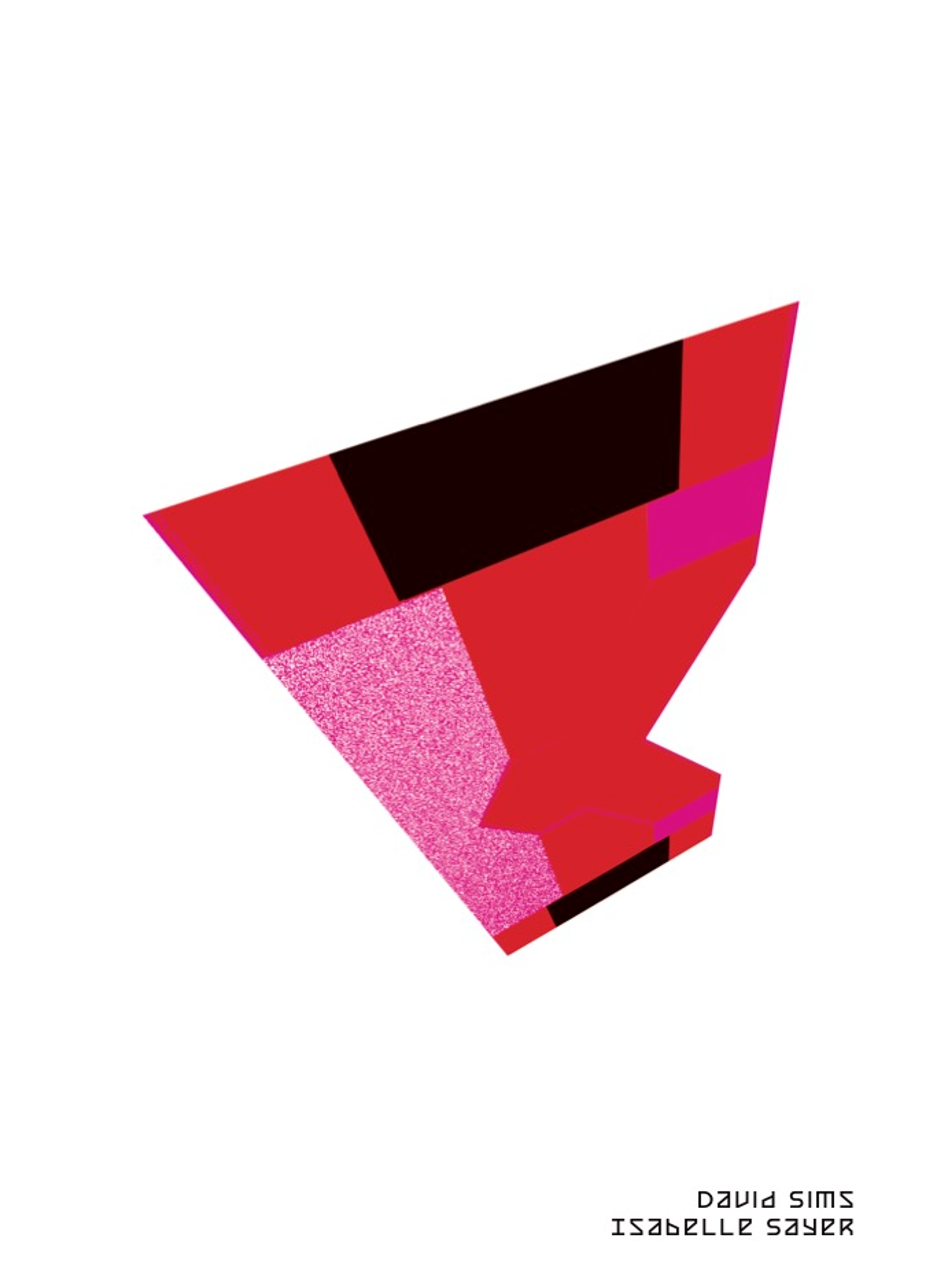 ISSUE NO. 03: David Sims & Isabelle Sayer | Beyond Noise