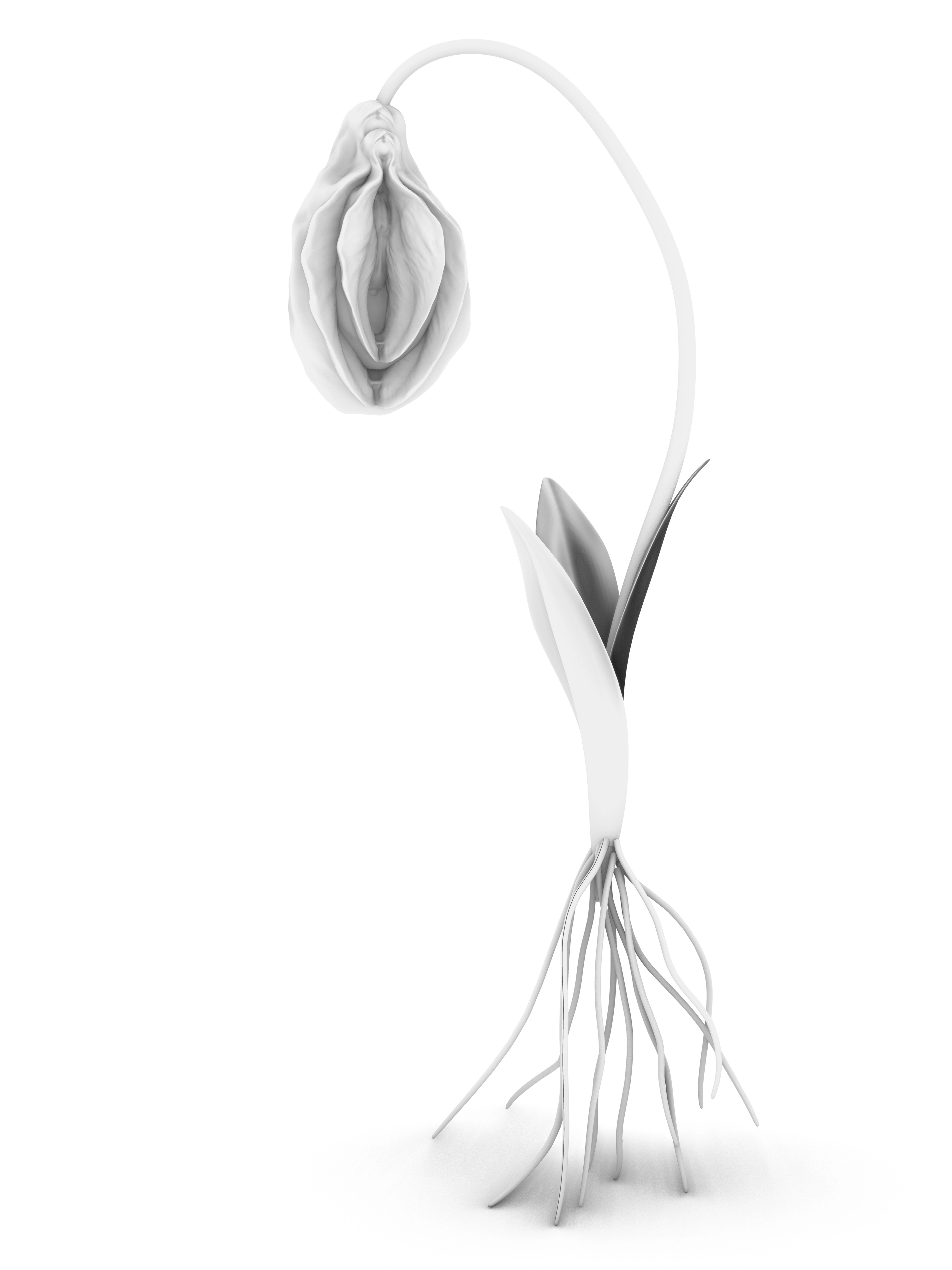 THE MEADOW: ISABELLE ALBUQUERQUE | Beyond Noise