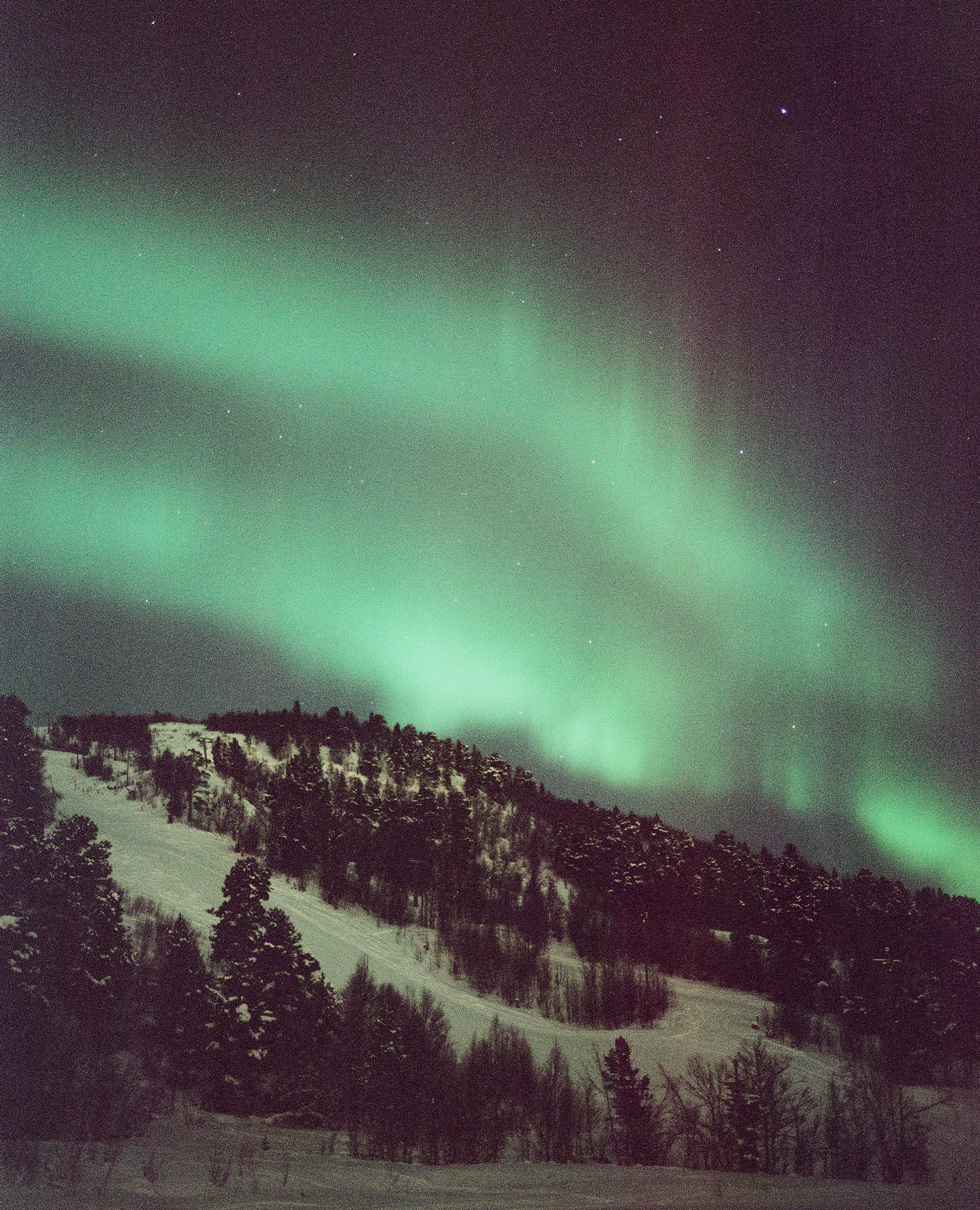 ISSUE NO. 05: HOME IN THE HEART BY LAURENCE ELLIS | Beyond Noise