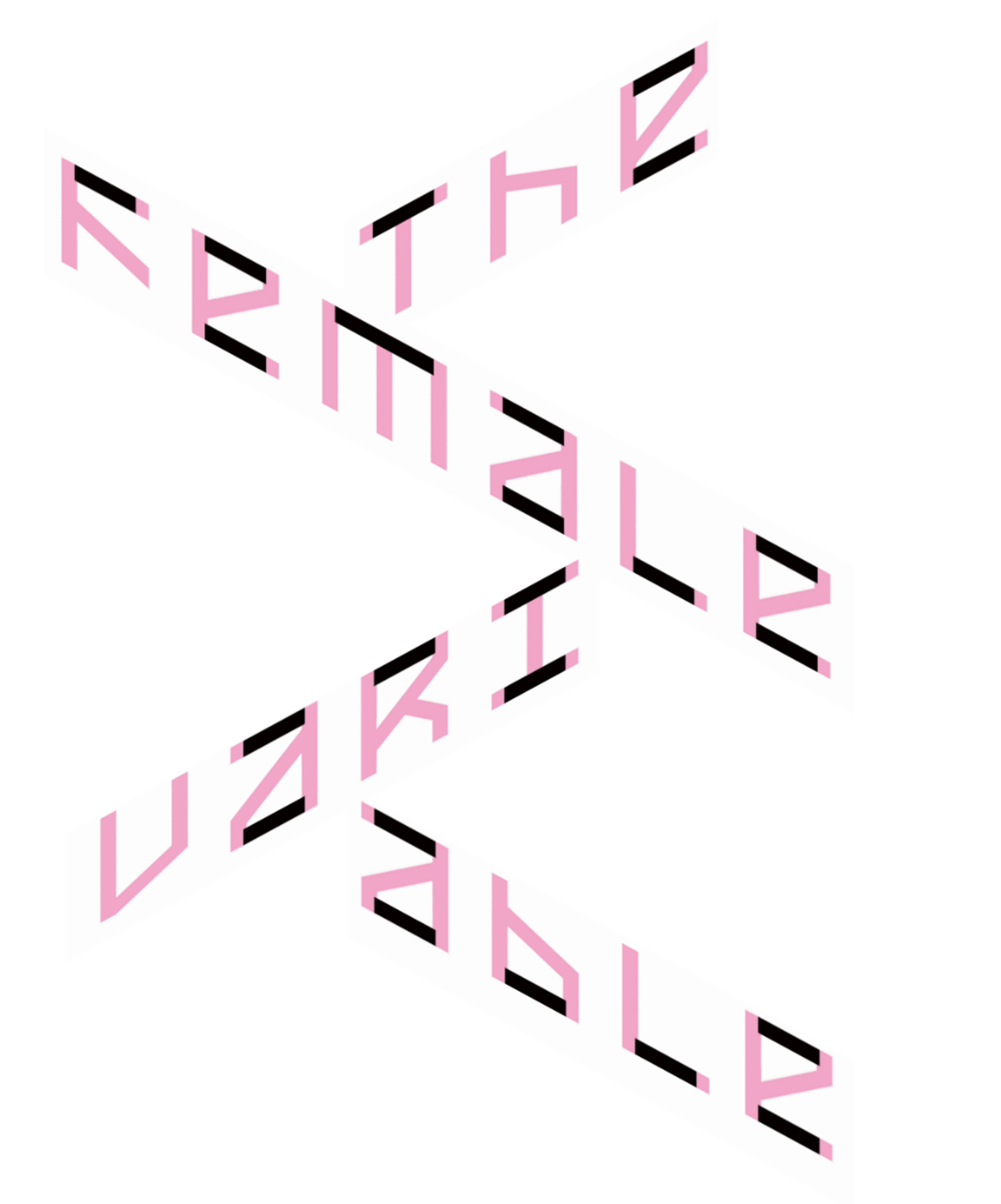 THE FEMALE VARIABLE | Beyond Noise