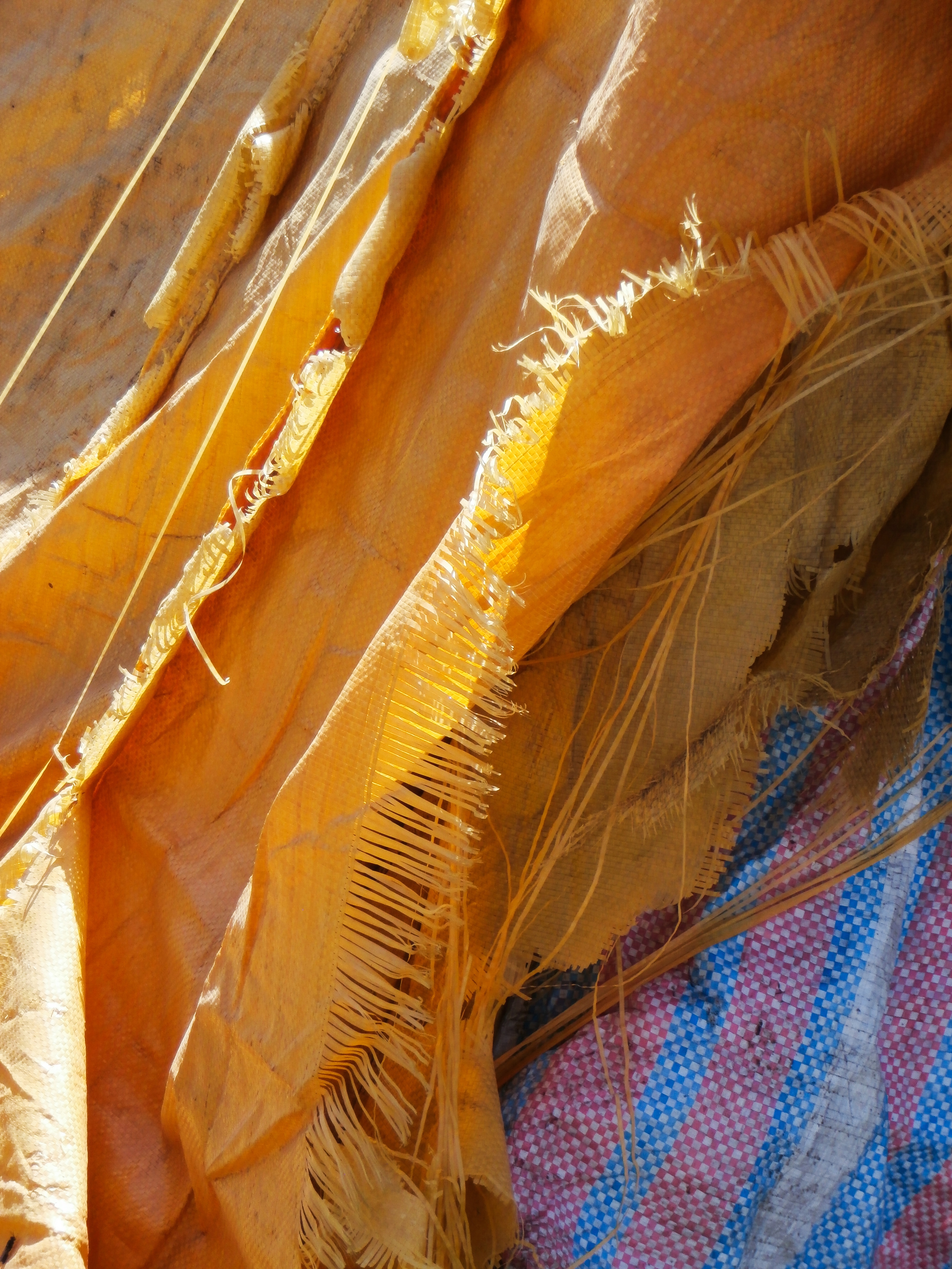 TRASH TO TREASURE: FEE-GLORIA GRÖNEMEYER | Beyond Noise