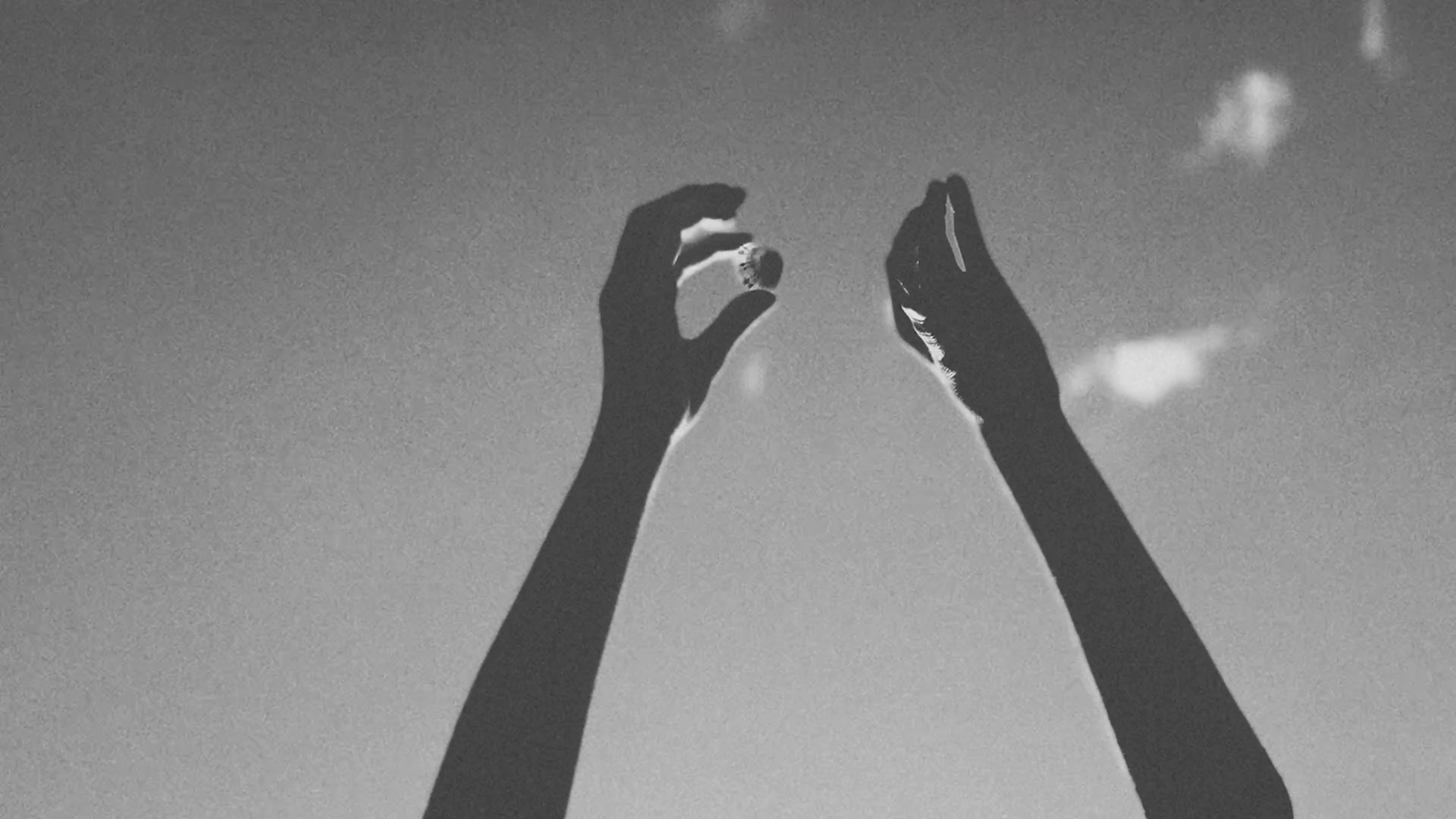 Ode to Summer: Clover Green | Beyond Noise