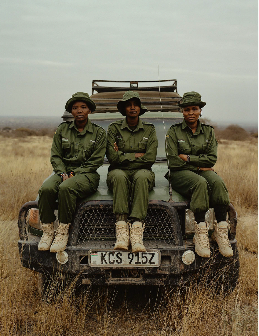 LAND AND LEGACY: LAURENCE ELLIS | Beyond Noise