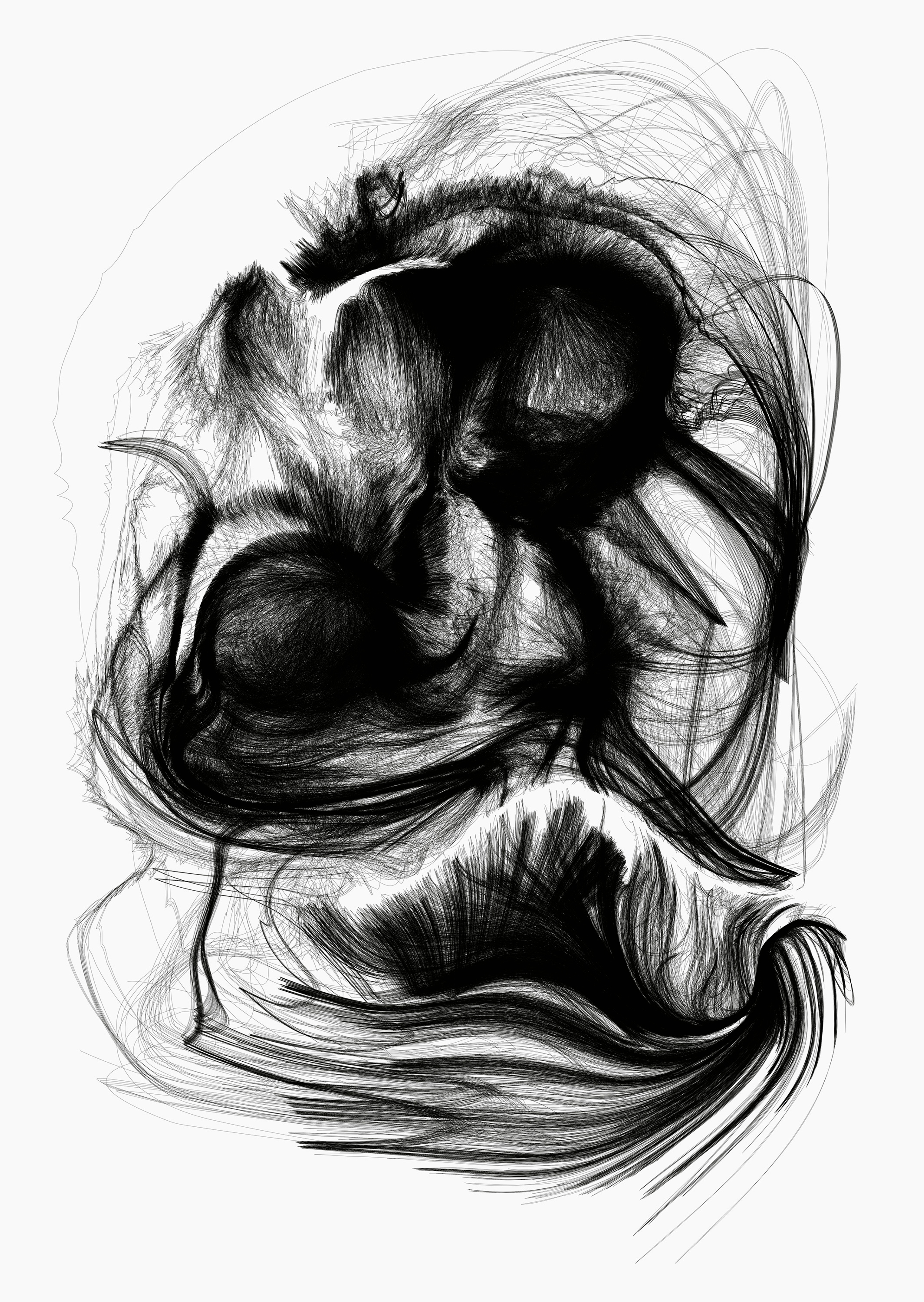 FACE VALUE | Beyond Noise