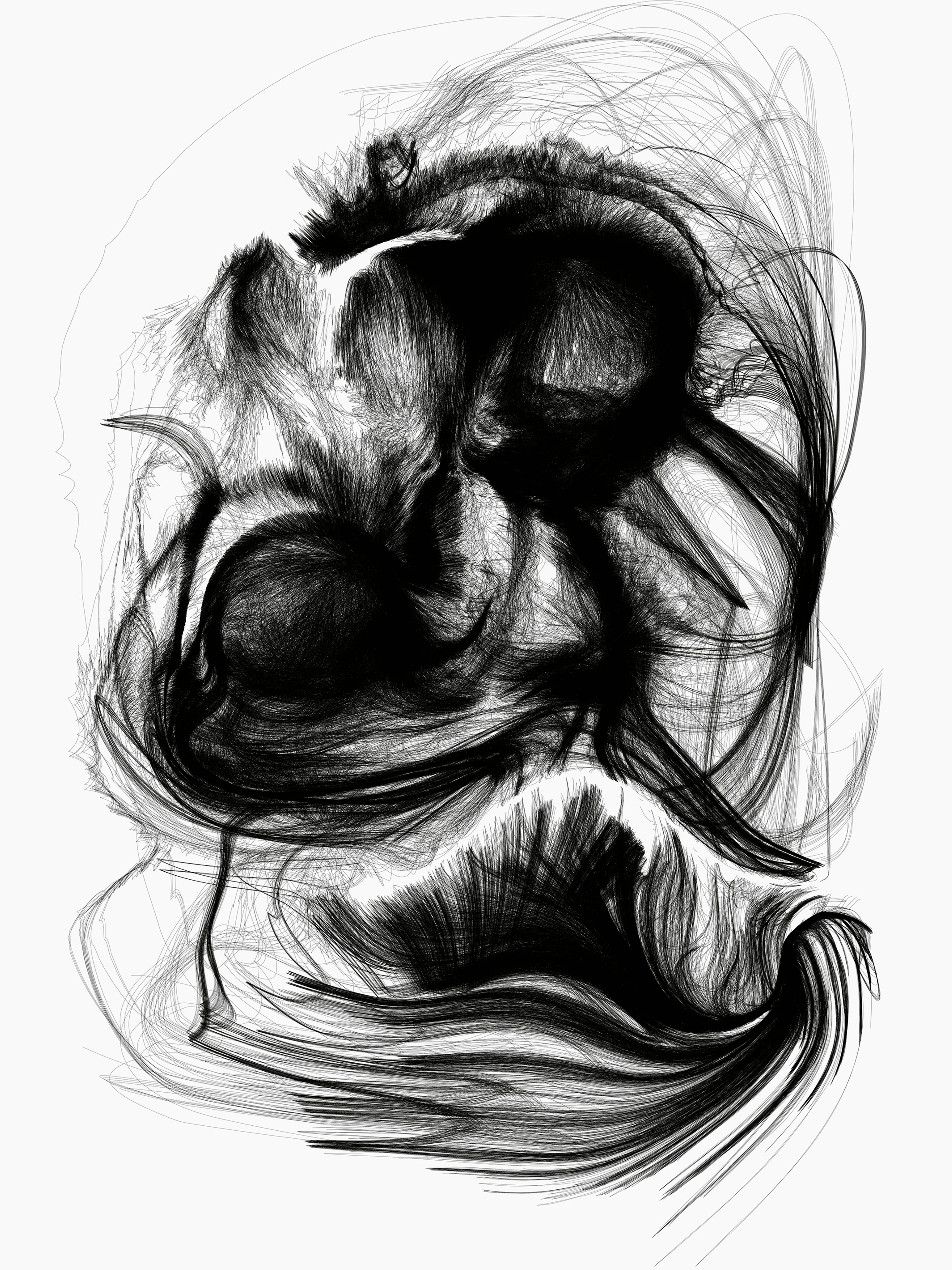 FACE VALUE | Beyond Noise