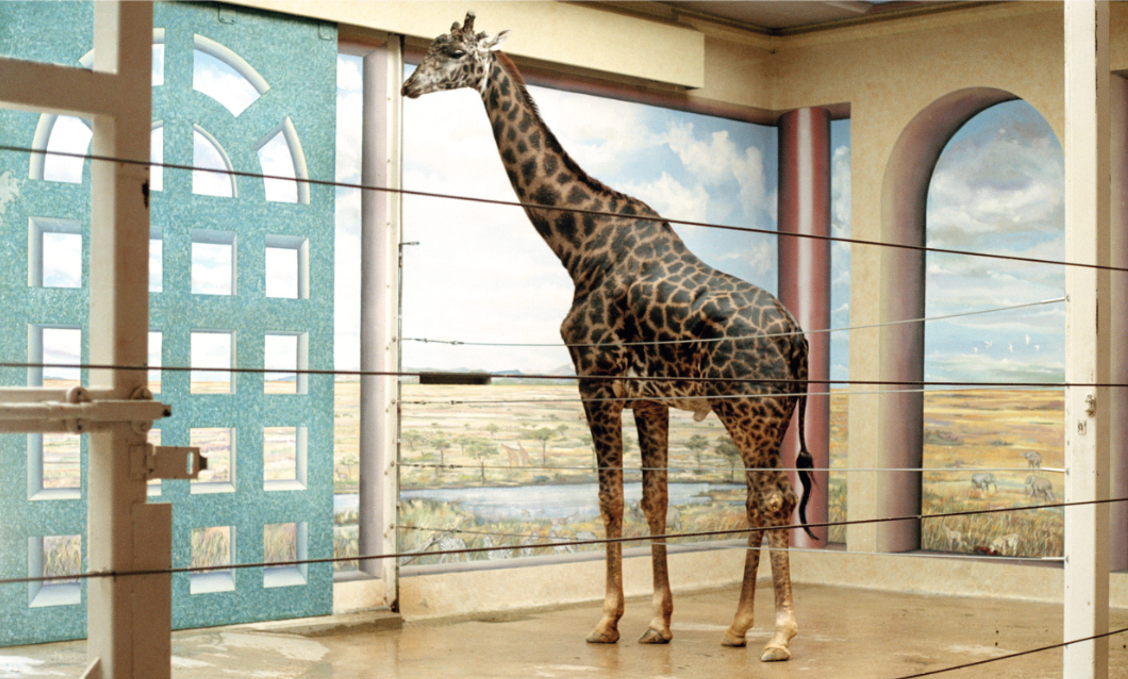 THE QUEST FOR ORDER: CANDIDA HÖFER | Beyond Noise