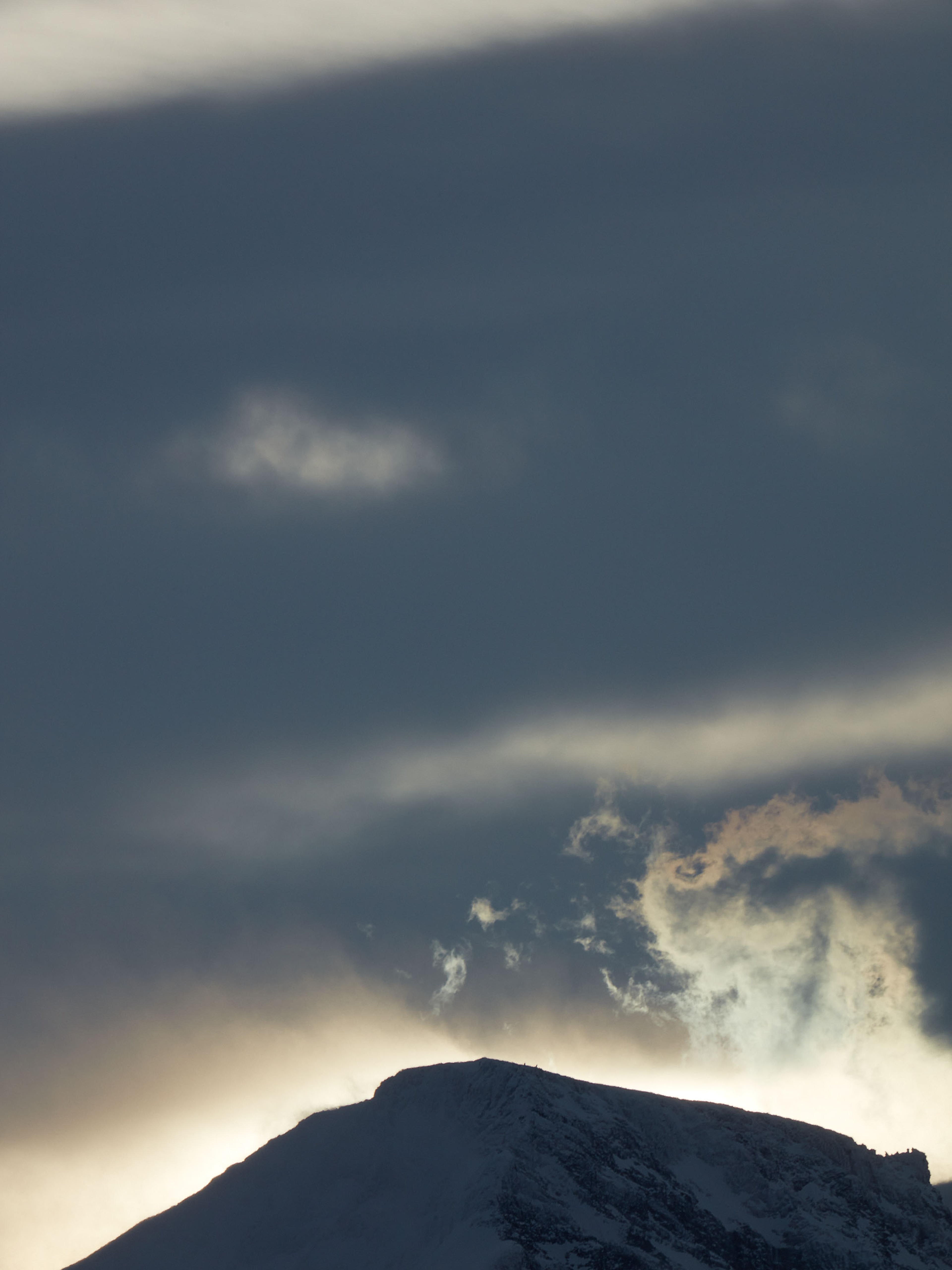 BEGINNINGS AND ENDINGS: CATHERINE OPIE | Beyond Noise