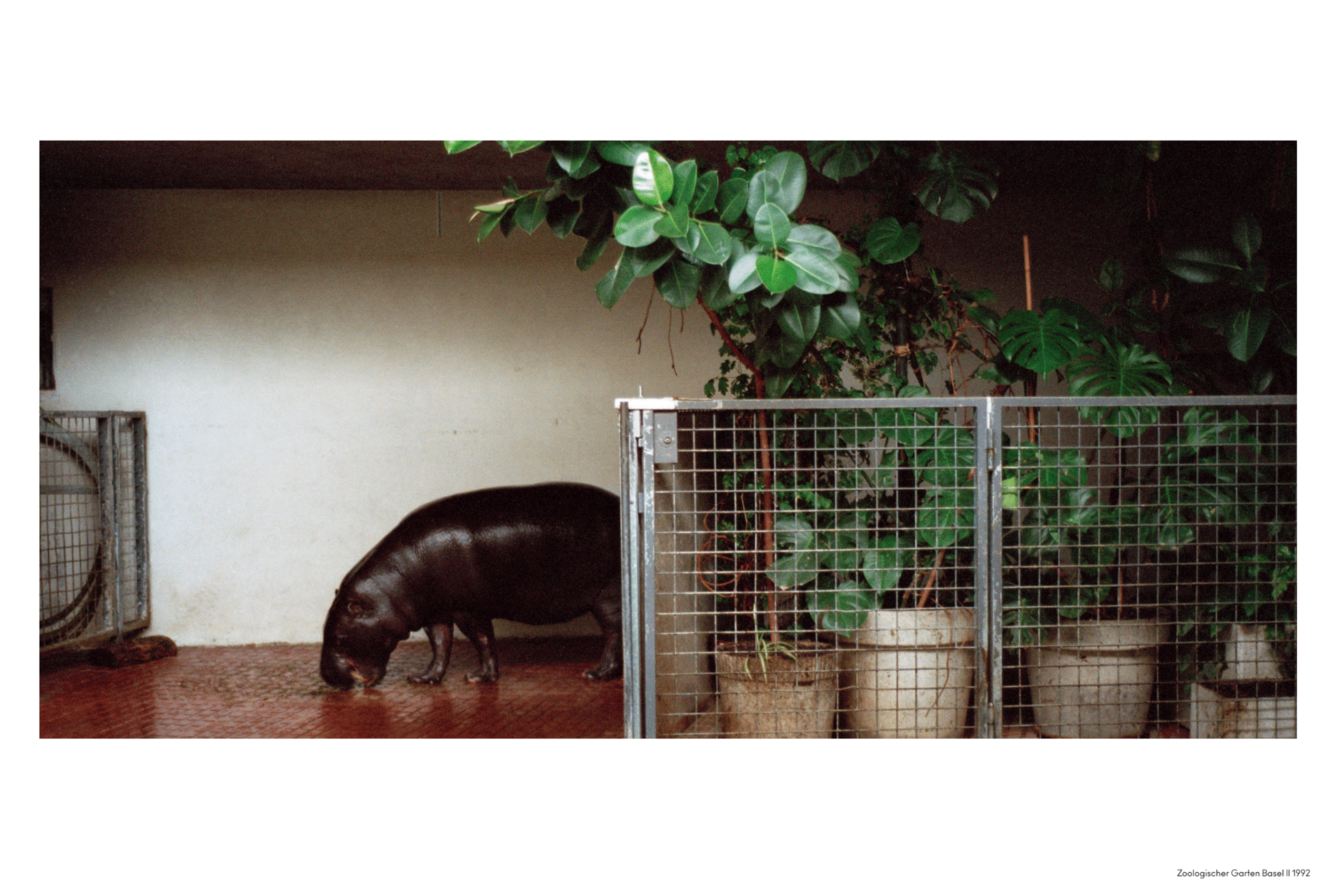 THE QUEST FOR ORDER: CANDIDA HÖFER | Beyond Noise