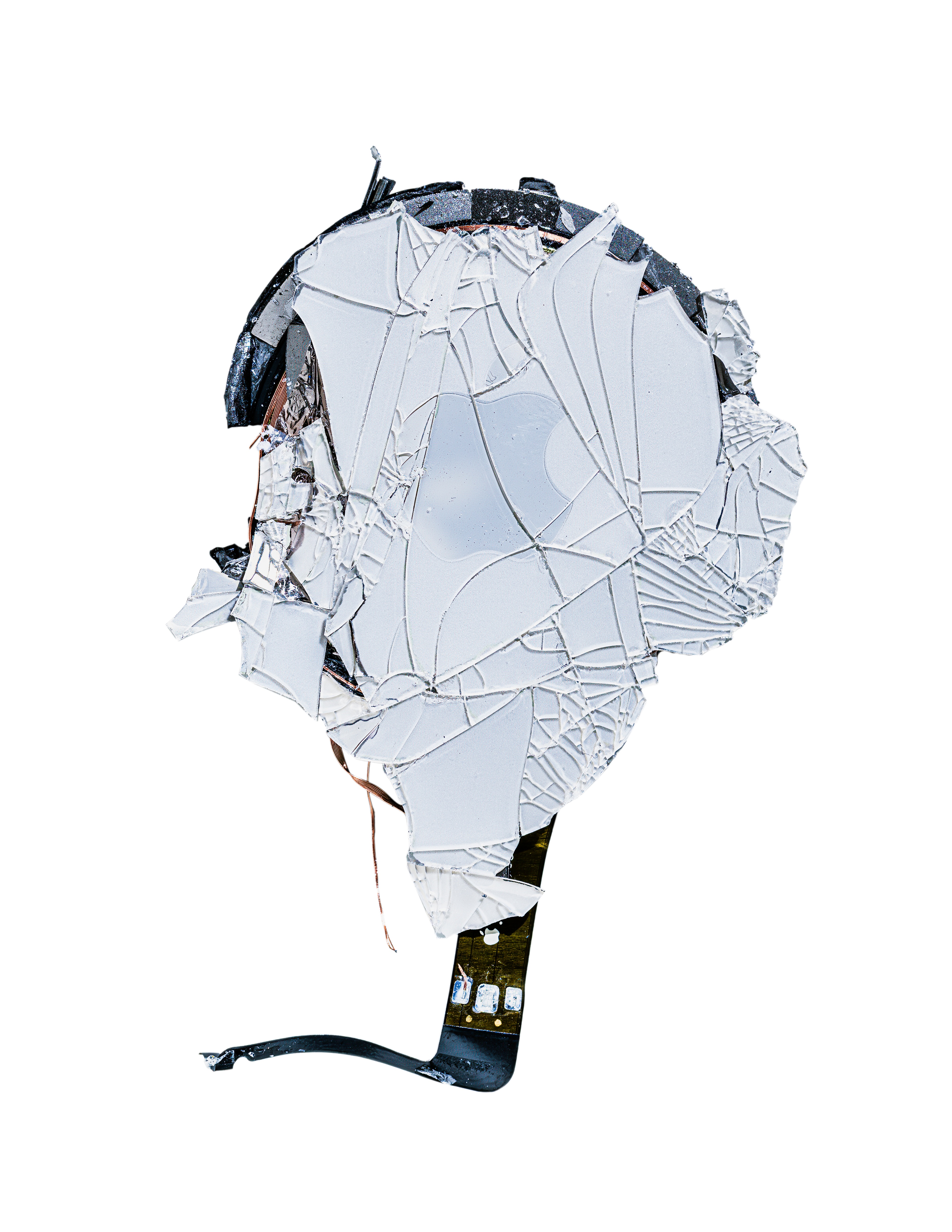 NATURE’S BLUEPRINT: DAISY THE ROBOT | Beyond Noise