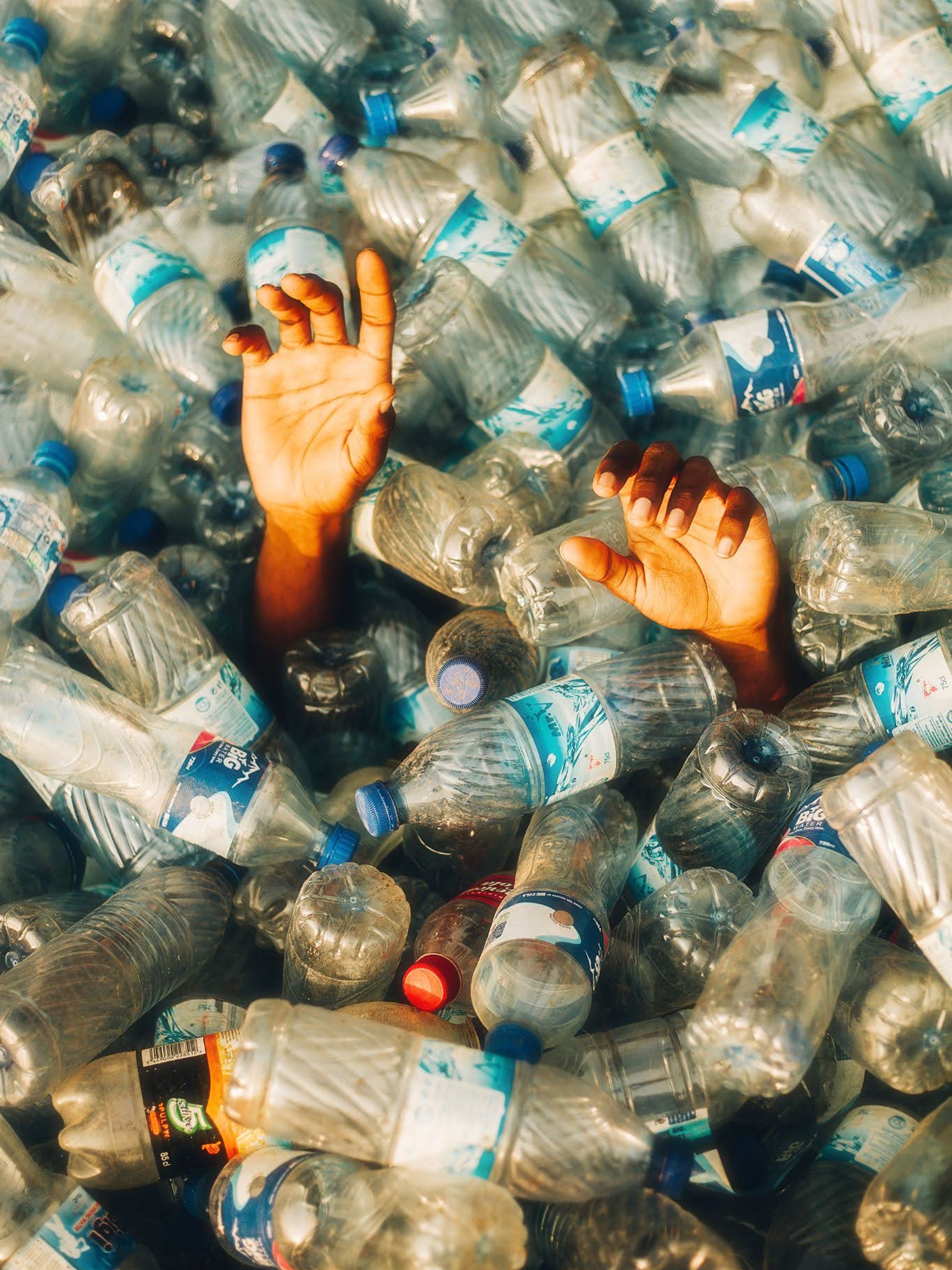 EARTH PARTNER: ART WITHOUT WALLS | Beyond Noise