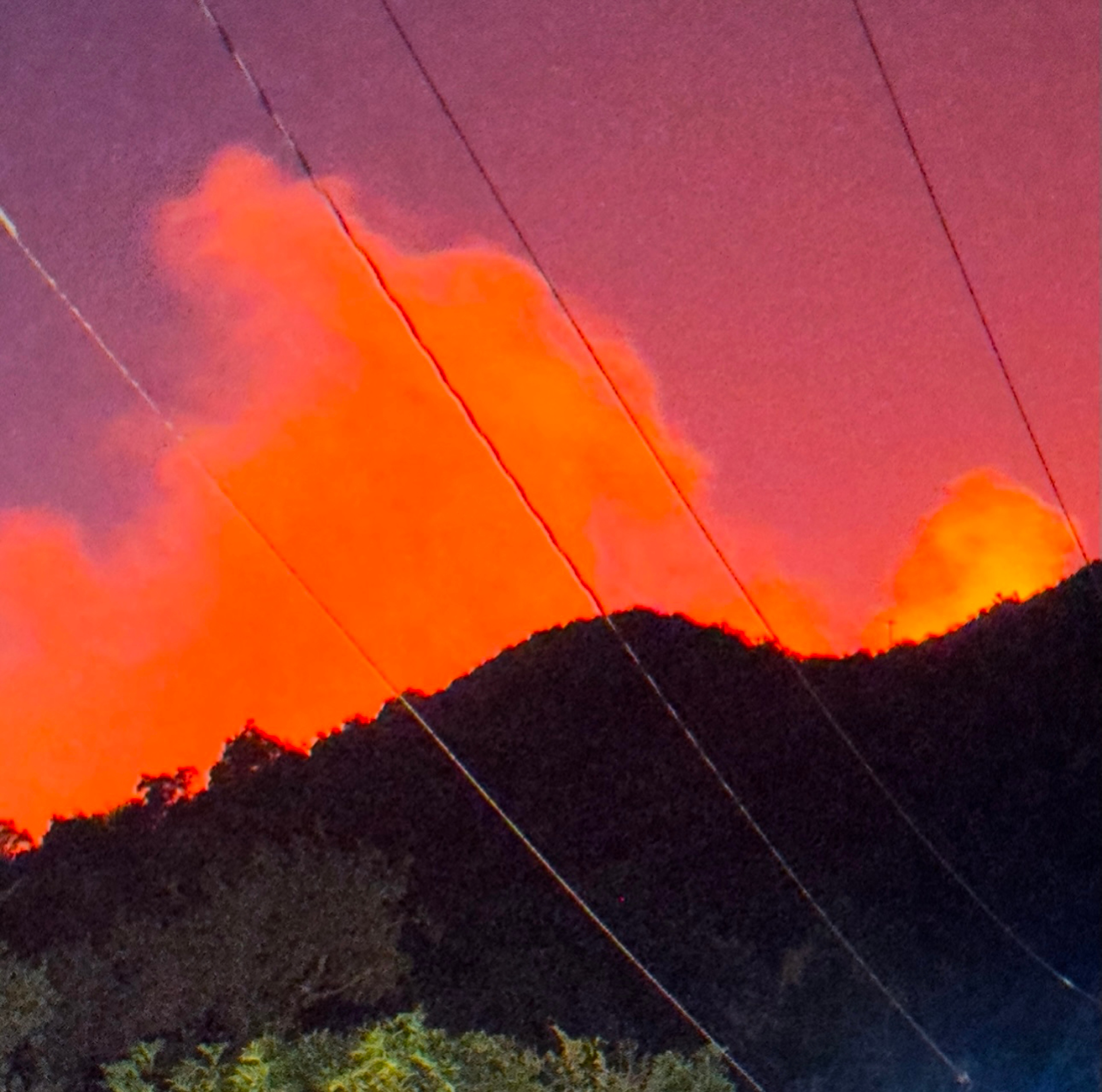 THE MEADOW: ISABELLE ALBUQUERQUE | Beyond Noise