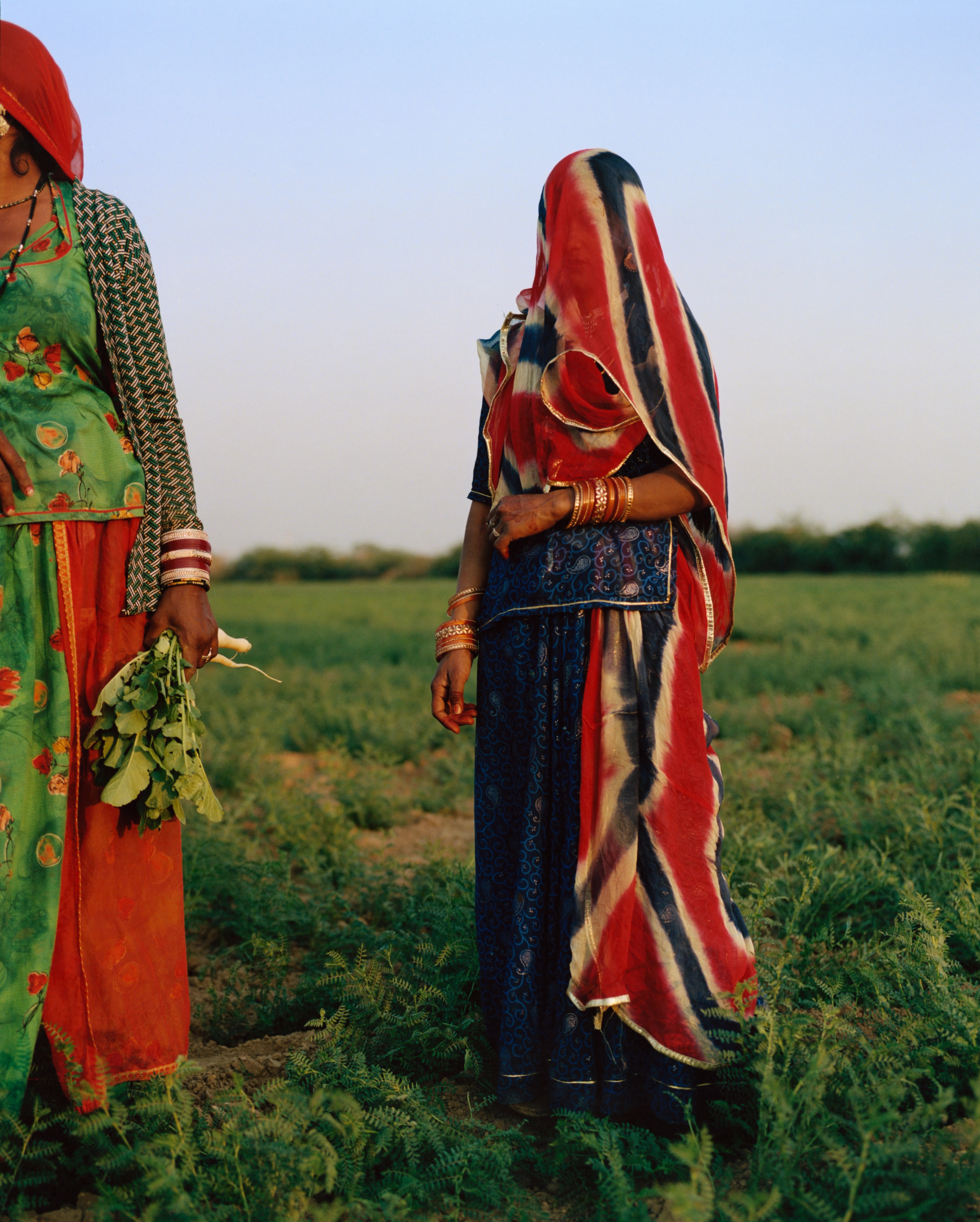 EARTHKEEPERS: LAURENCE ELLIS | Beyond Noise