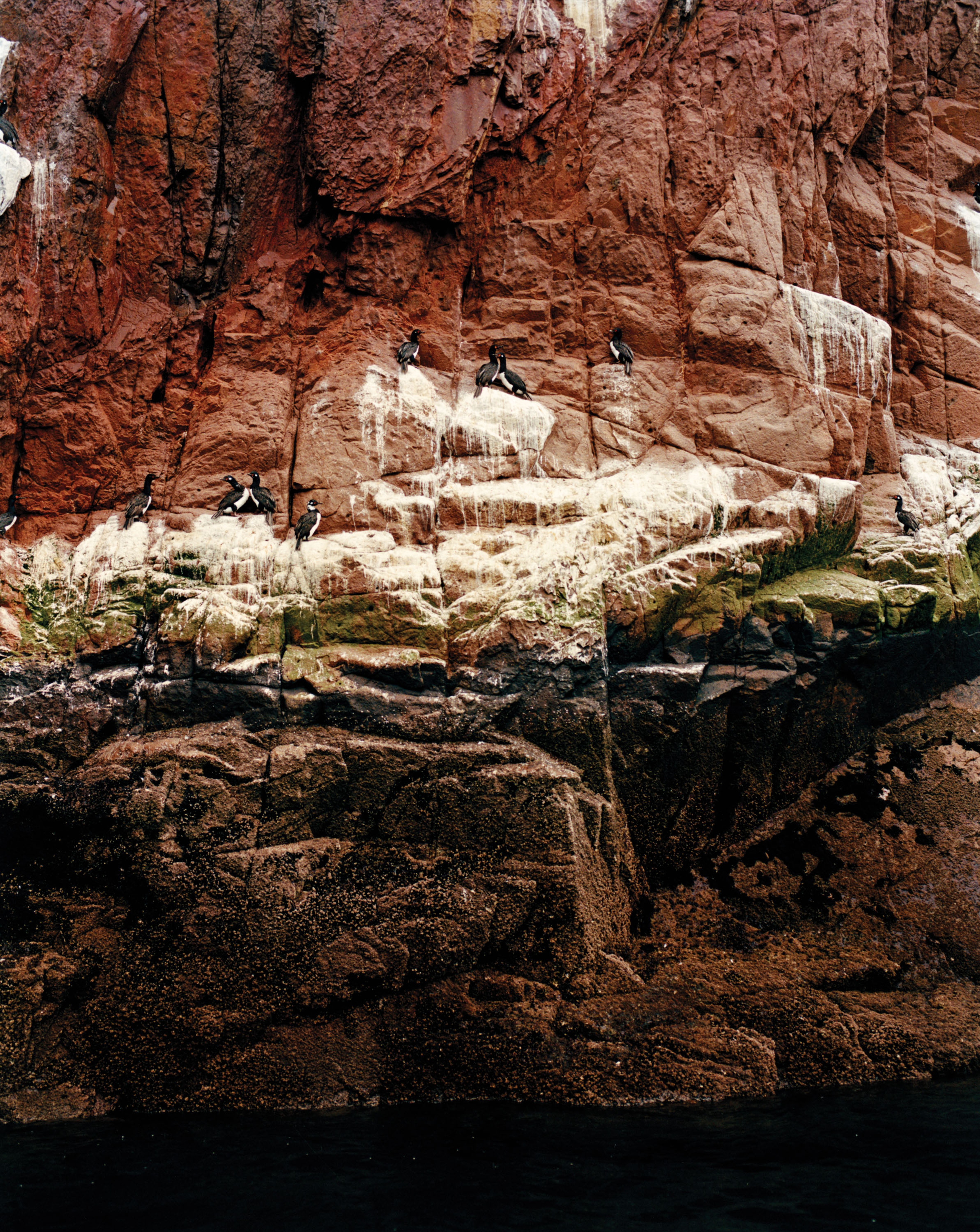 REWILDING PATAGONIA: LAURENCE ELLIS | Beyond Noise