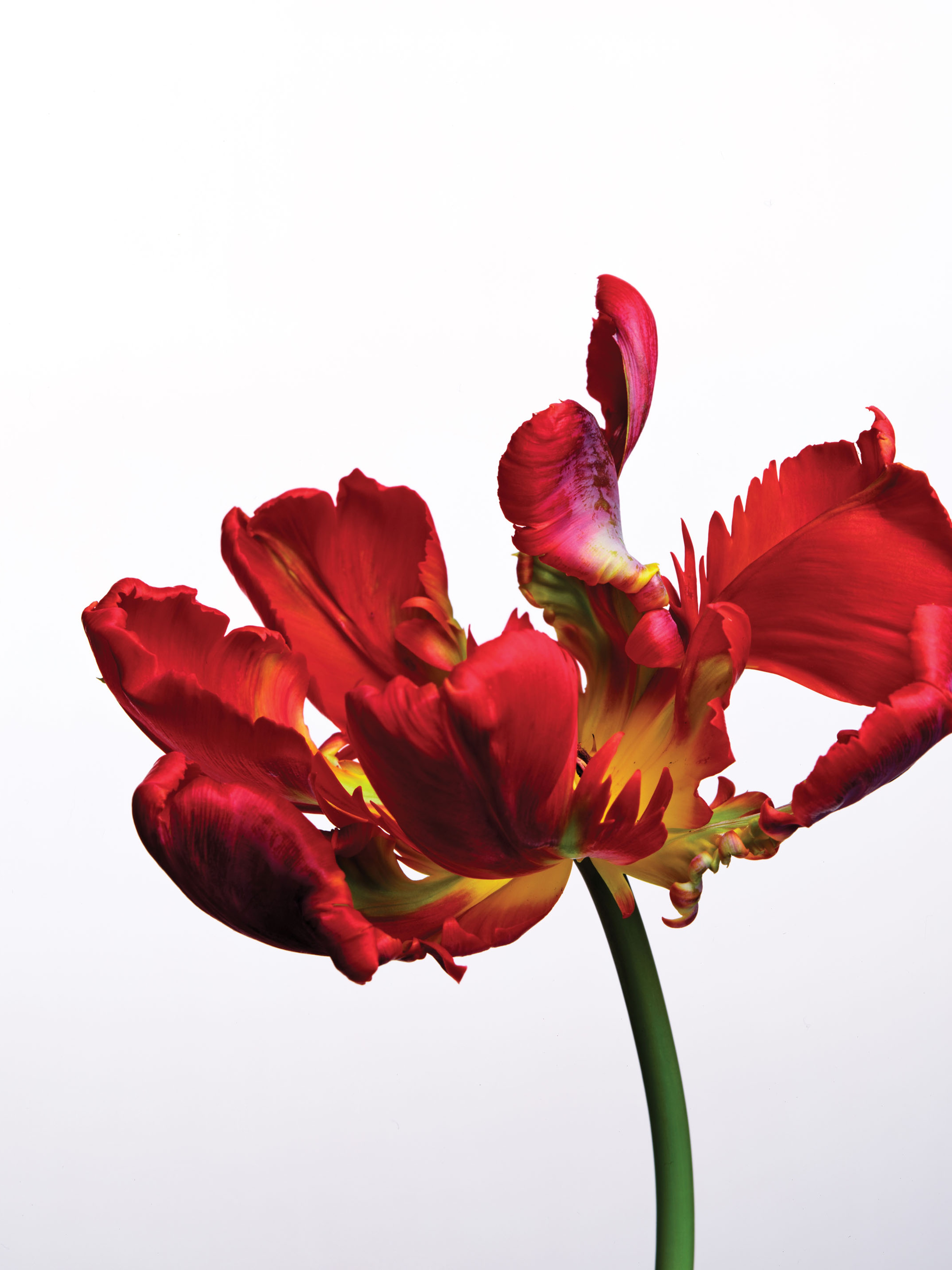 BABY BRAIN | Beyond Noise