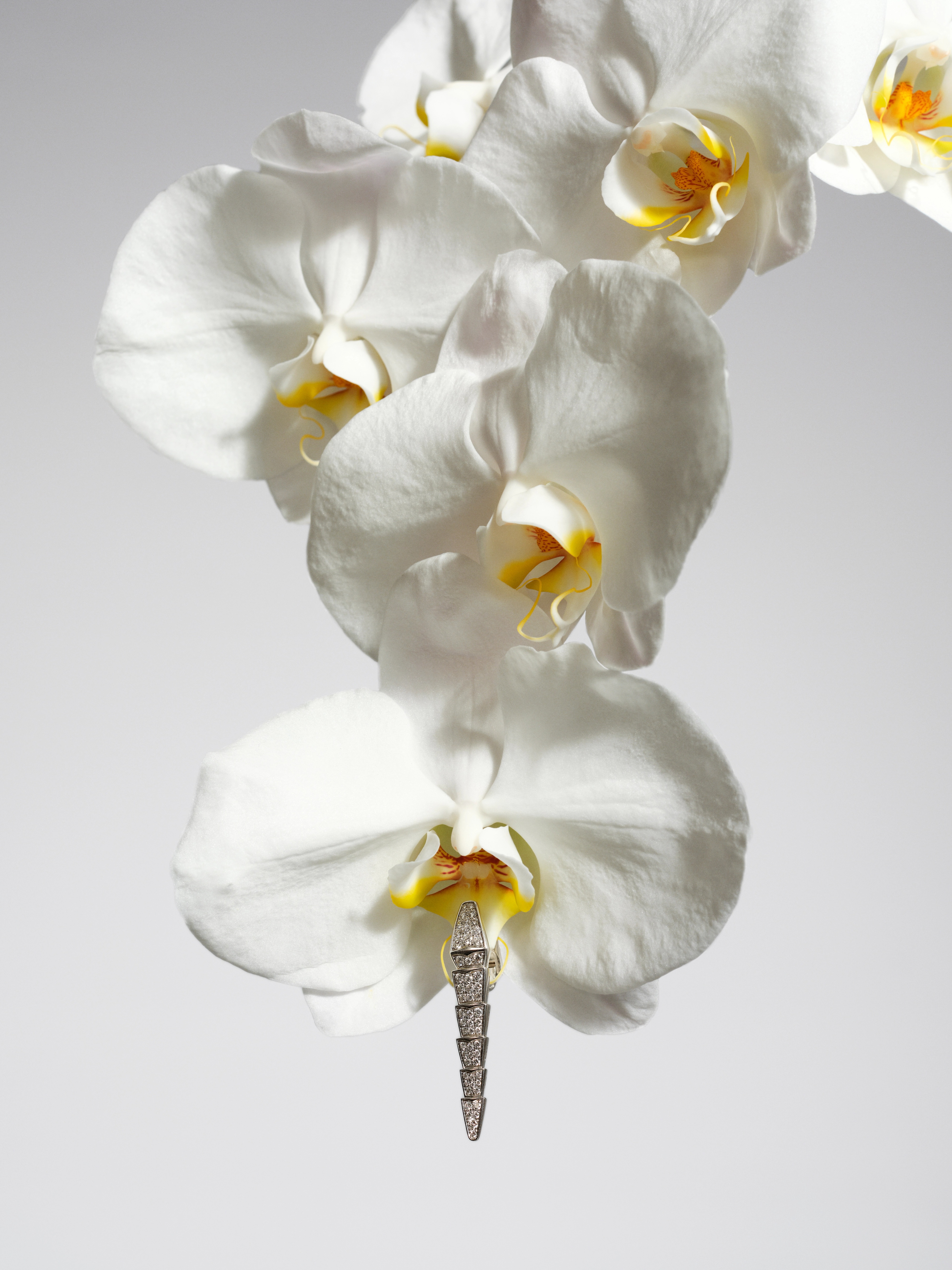 Richard Bush & Sarah Richardson | Beyond Noise