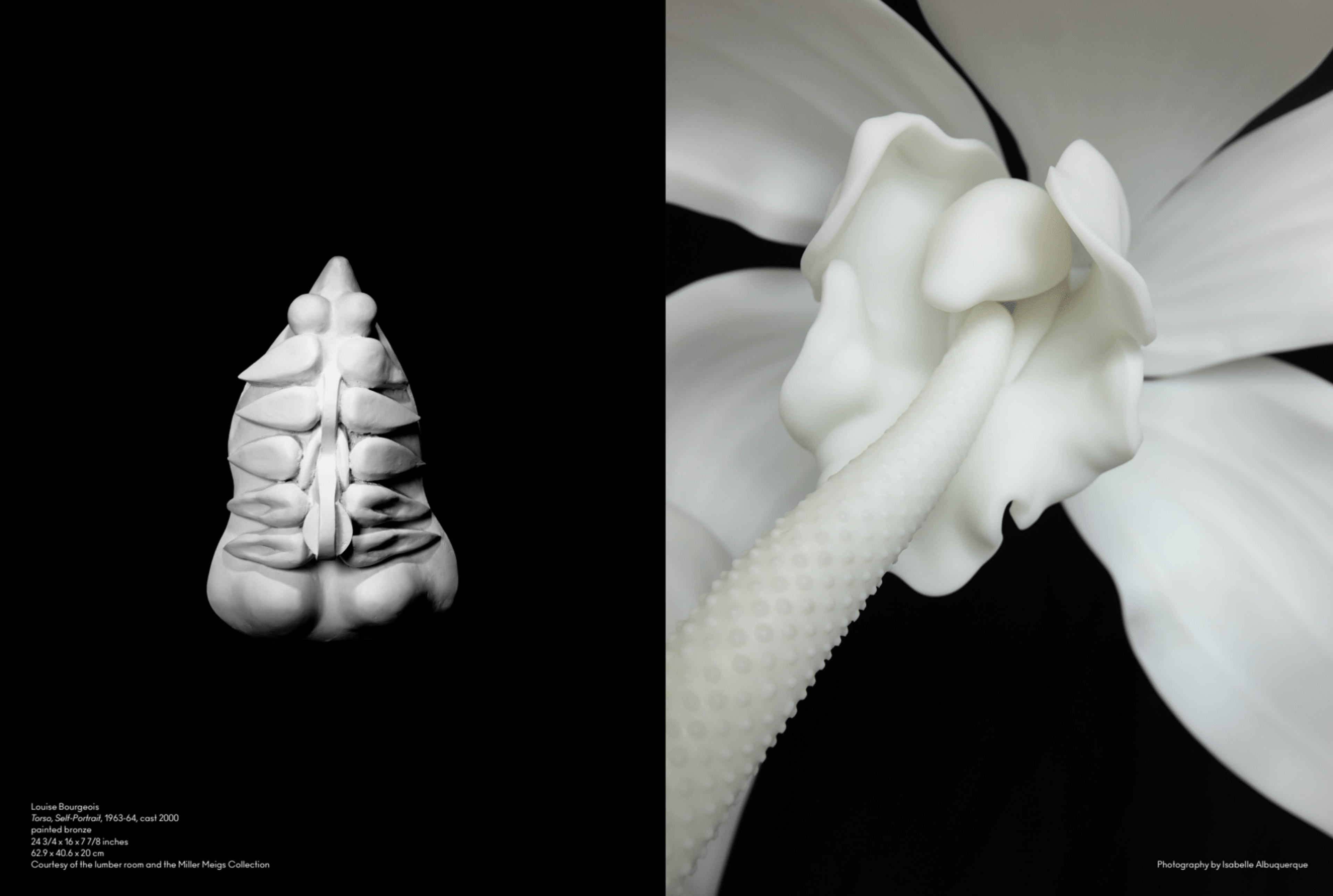 ISSUE NO. 04: ISABELLE ALBUQUERQUE & LOUISE BOURGEOIS | Beyond Noise