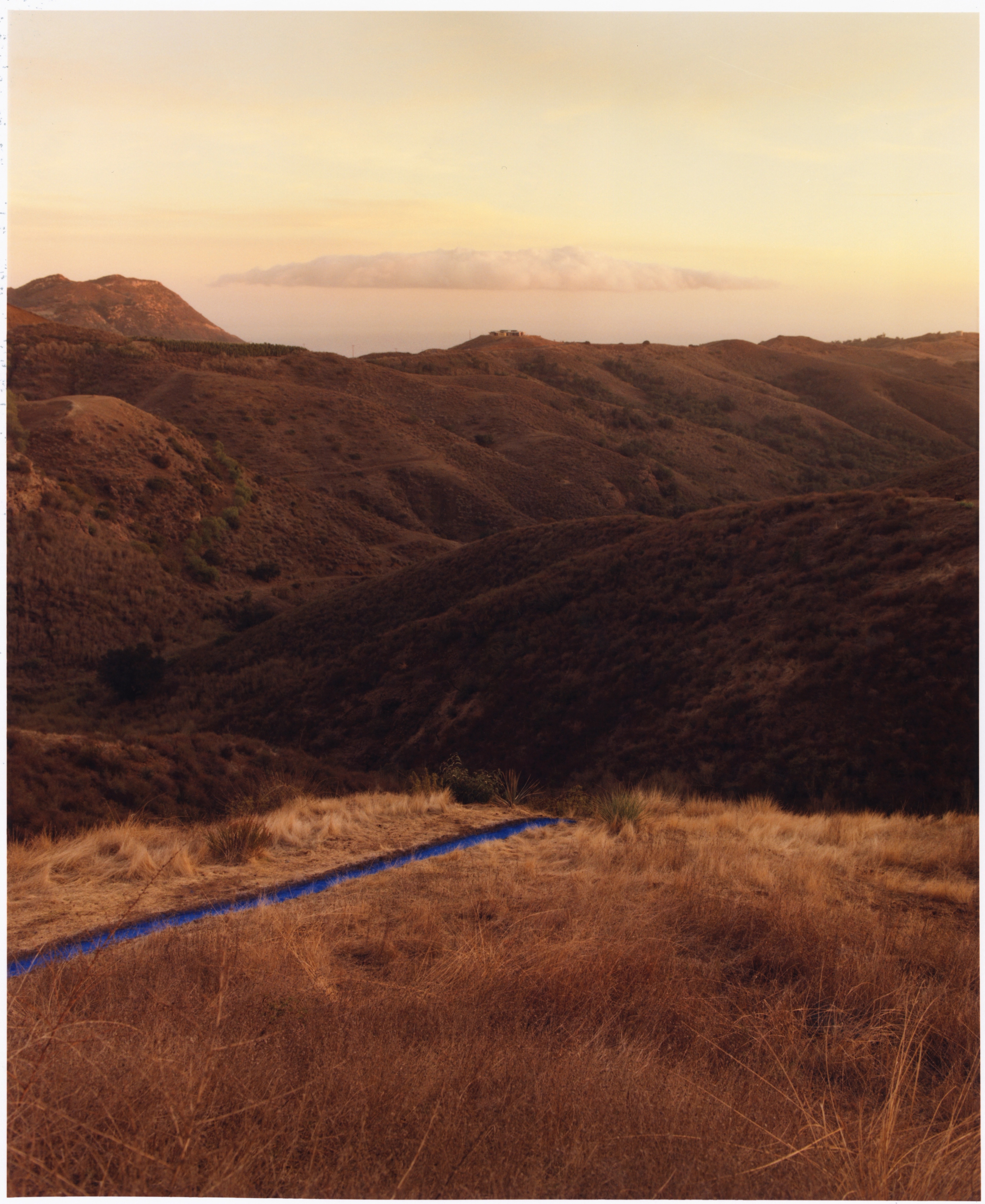 BETWEEN THE LINES: LITA ALBUQUERQUE | Beyond Noise