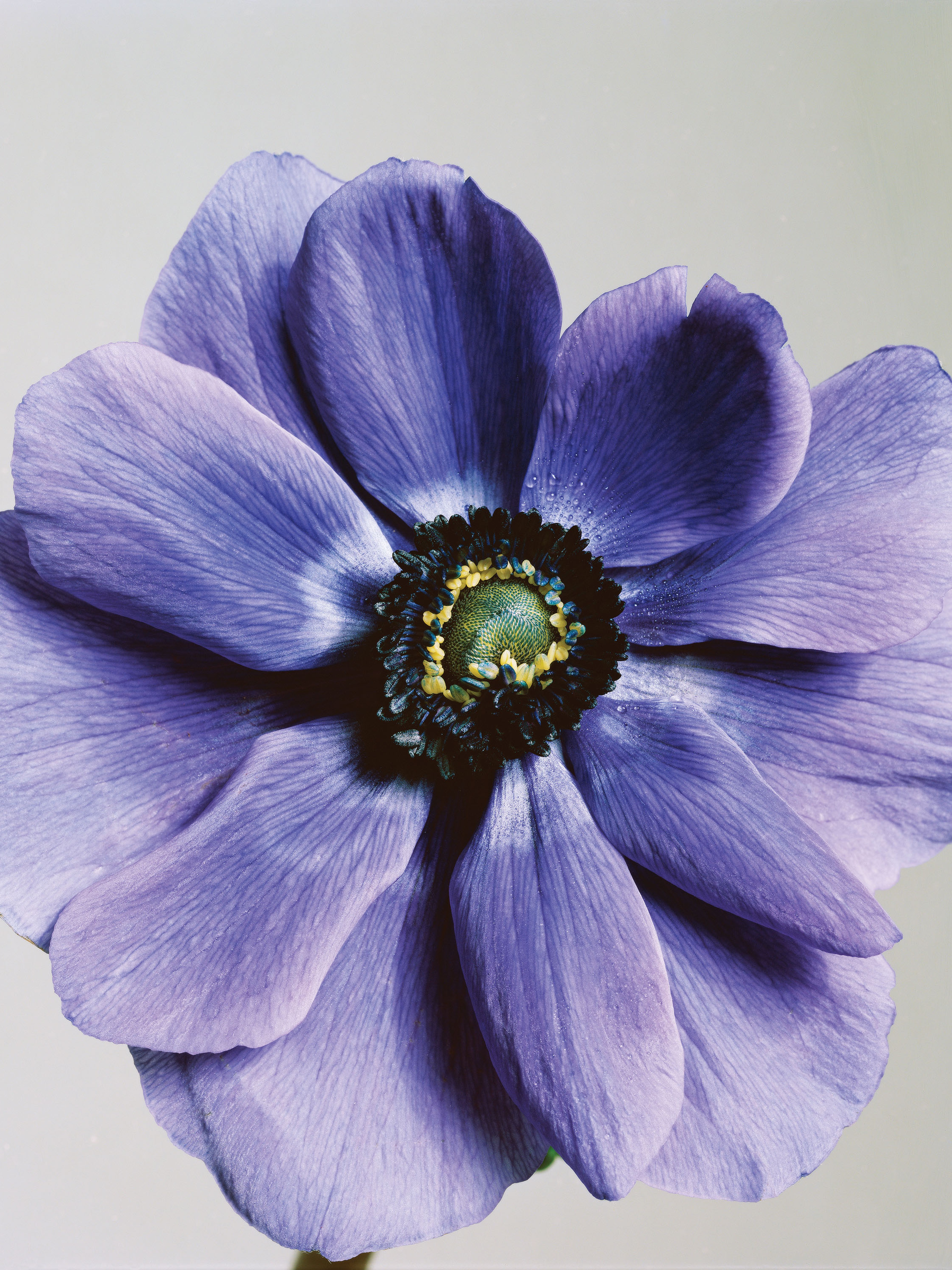 undefined | Beyond Noise