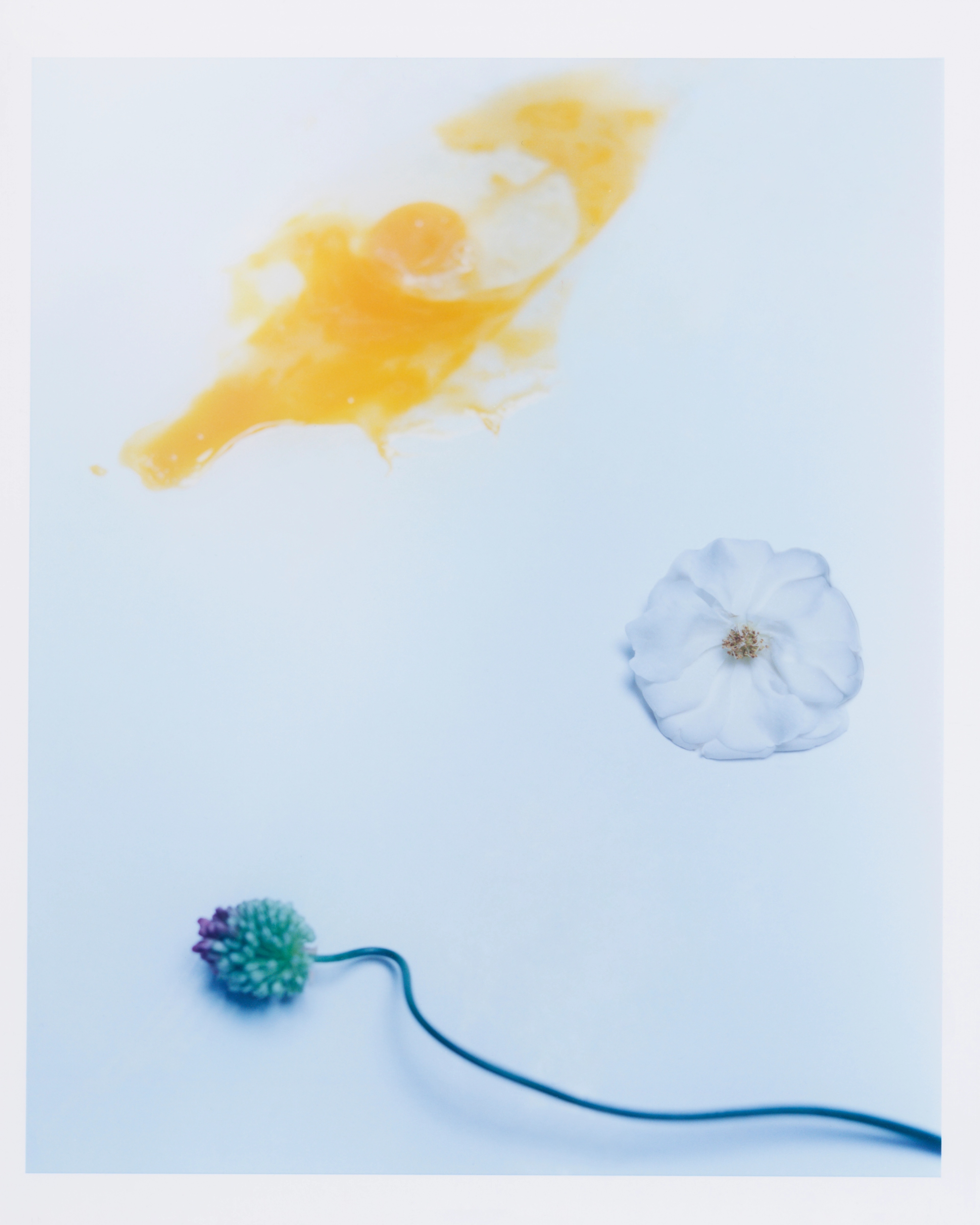 FANTASIZED AND INFANTILIZED | Beyond Noise