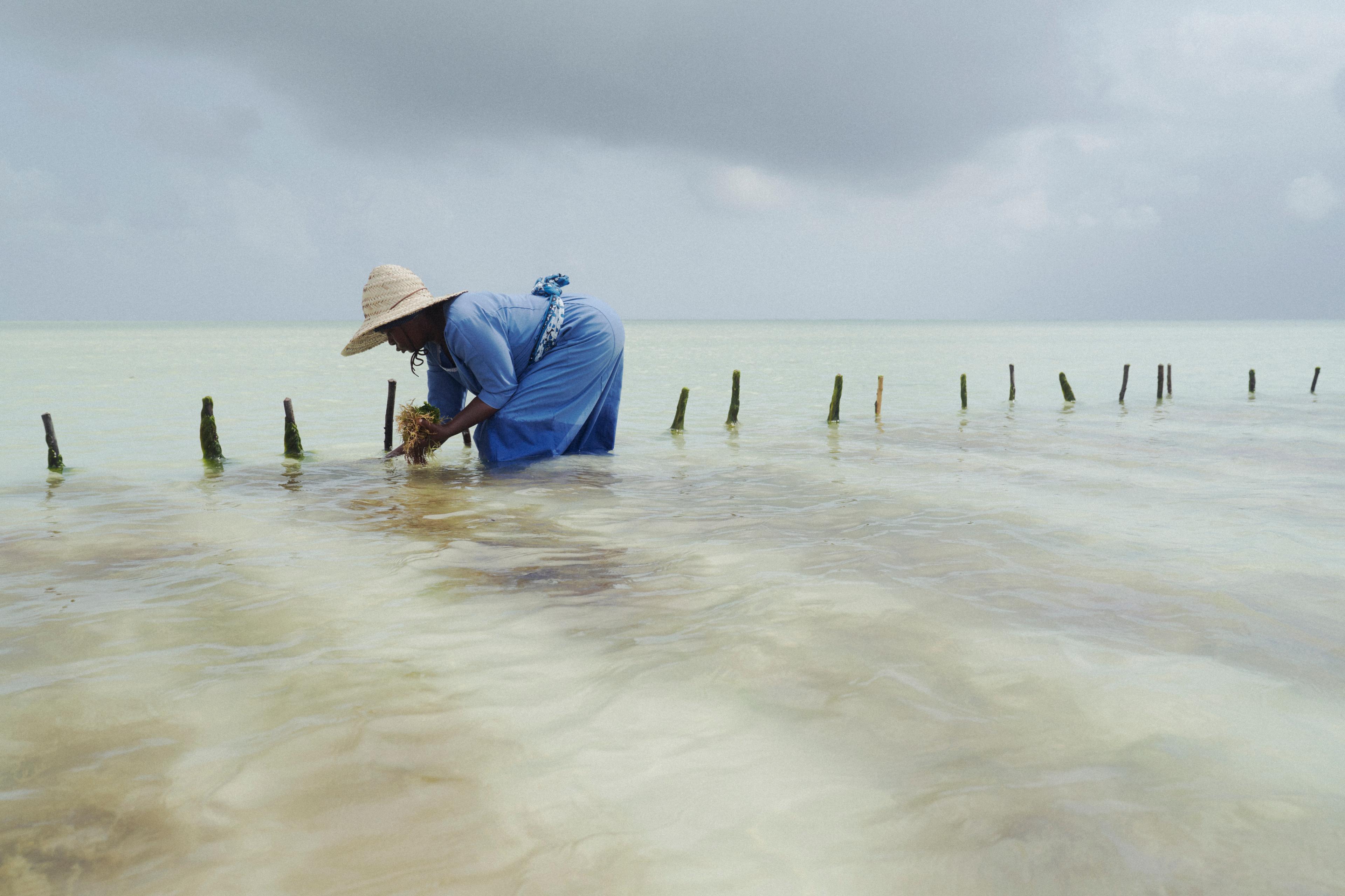 THE WINNERS OF #CREATECOP29 | Beyond Noise