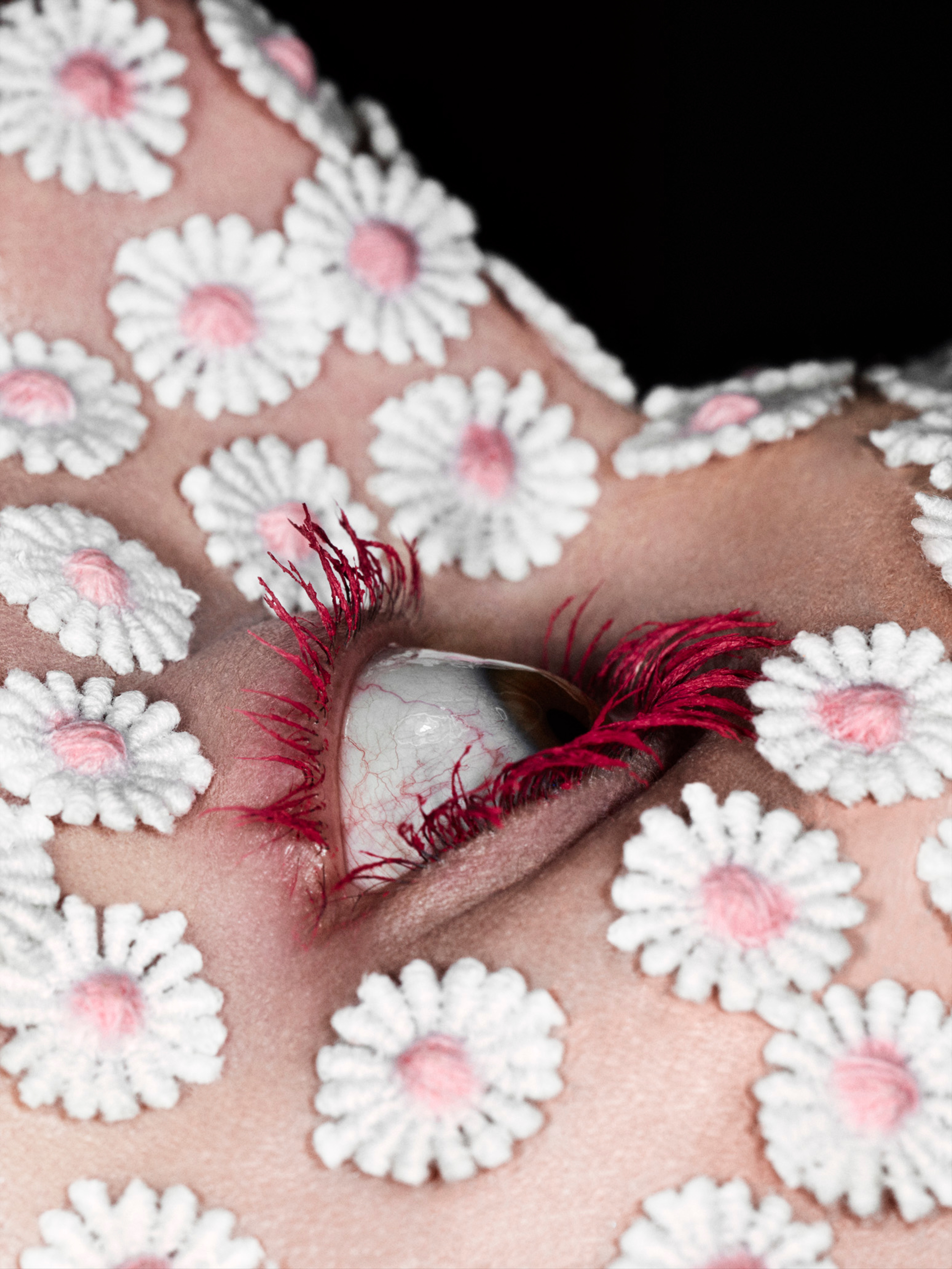 ISSUE NO. 05: WILLY VANDERPERRE AND PETER PHILIPS | Beyond Noise