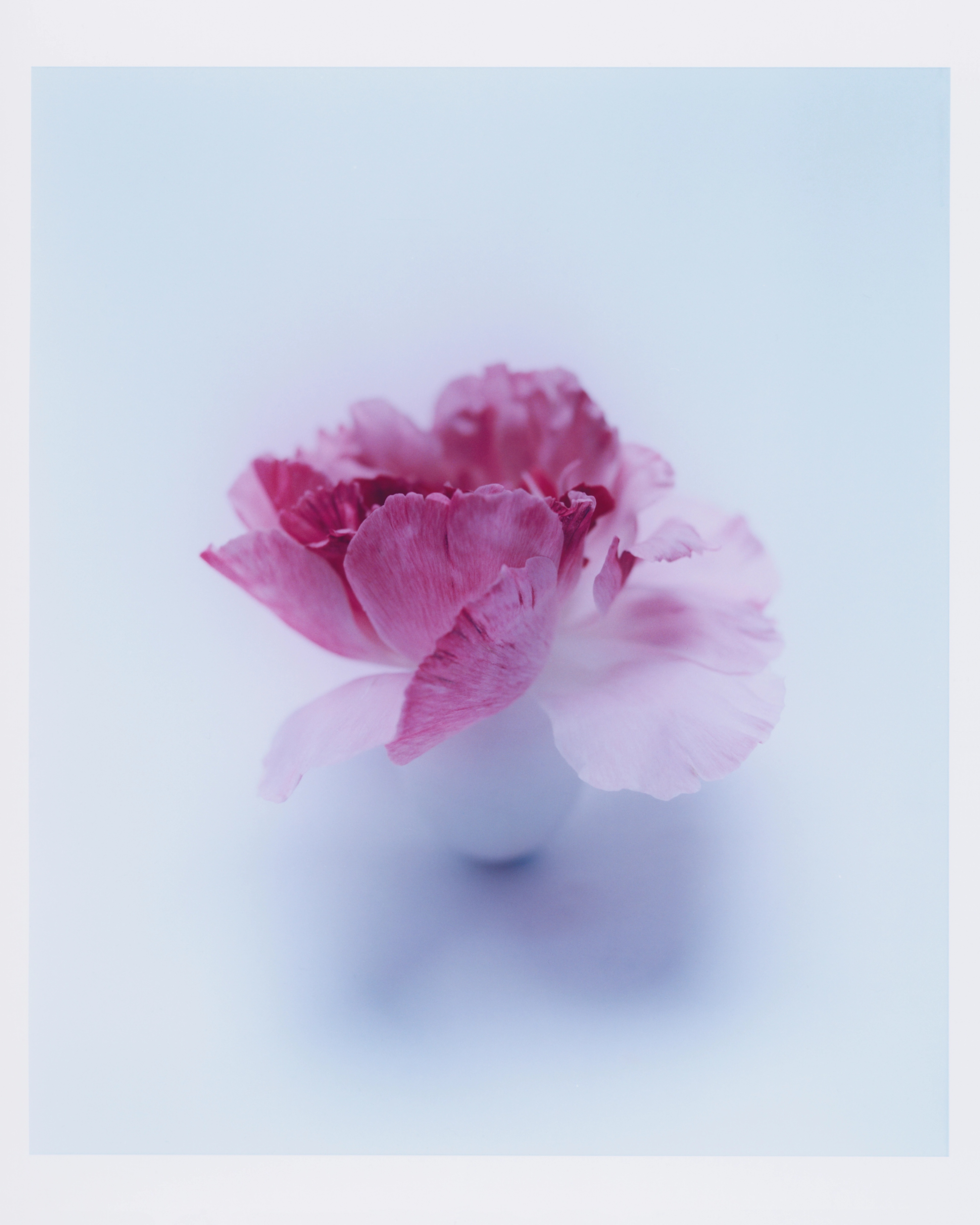 FANTASIZED AND INFANTILIZED | Beyond Noise