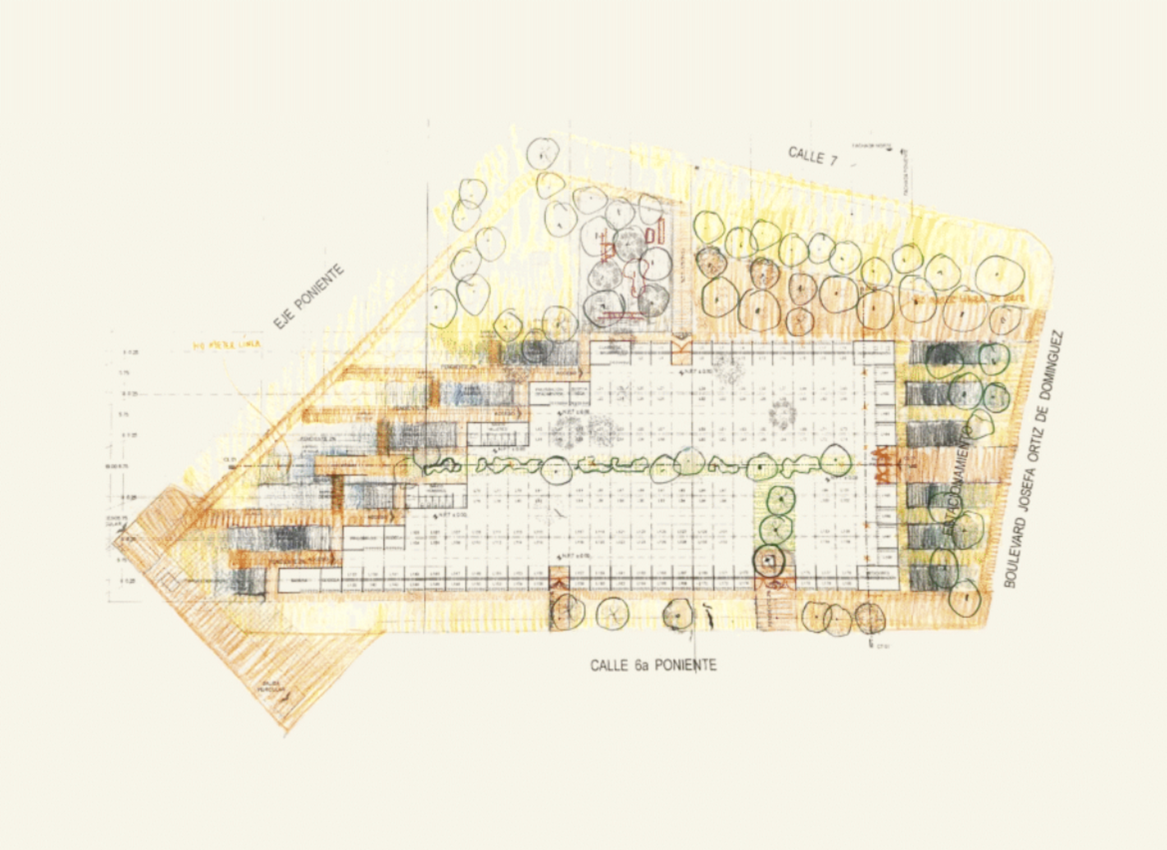 NEW FOUNDATIONS | Beyond Noise