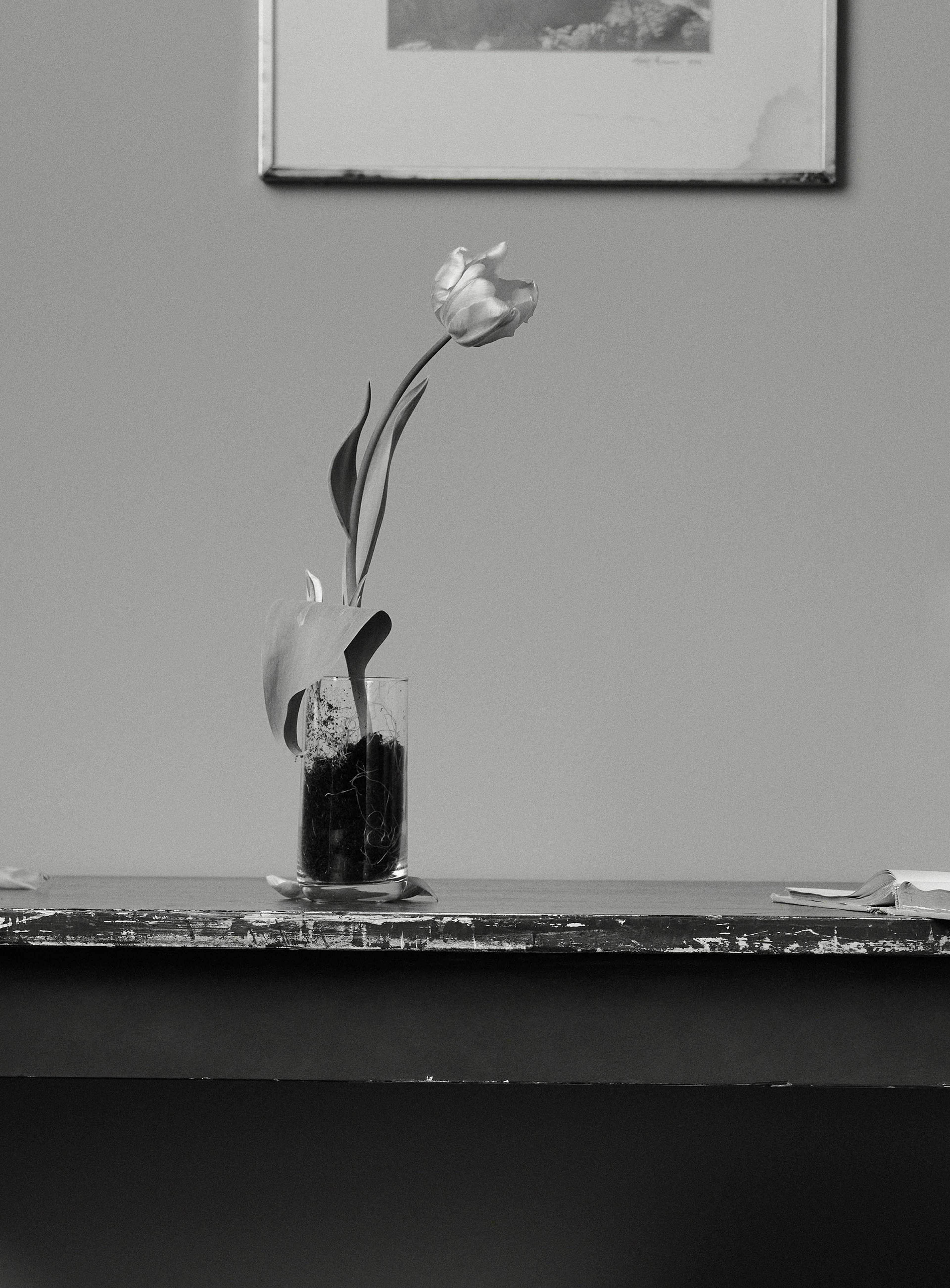 TA VOIX, TES YEUX, TES LÈVRES: JENNIFER CONNELLY | Beyond Noise