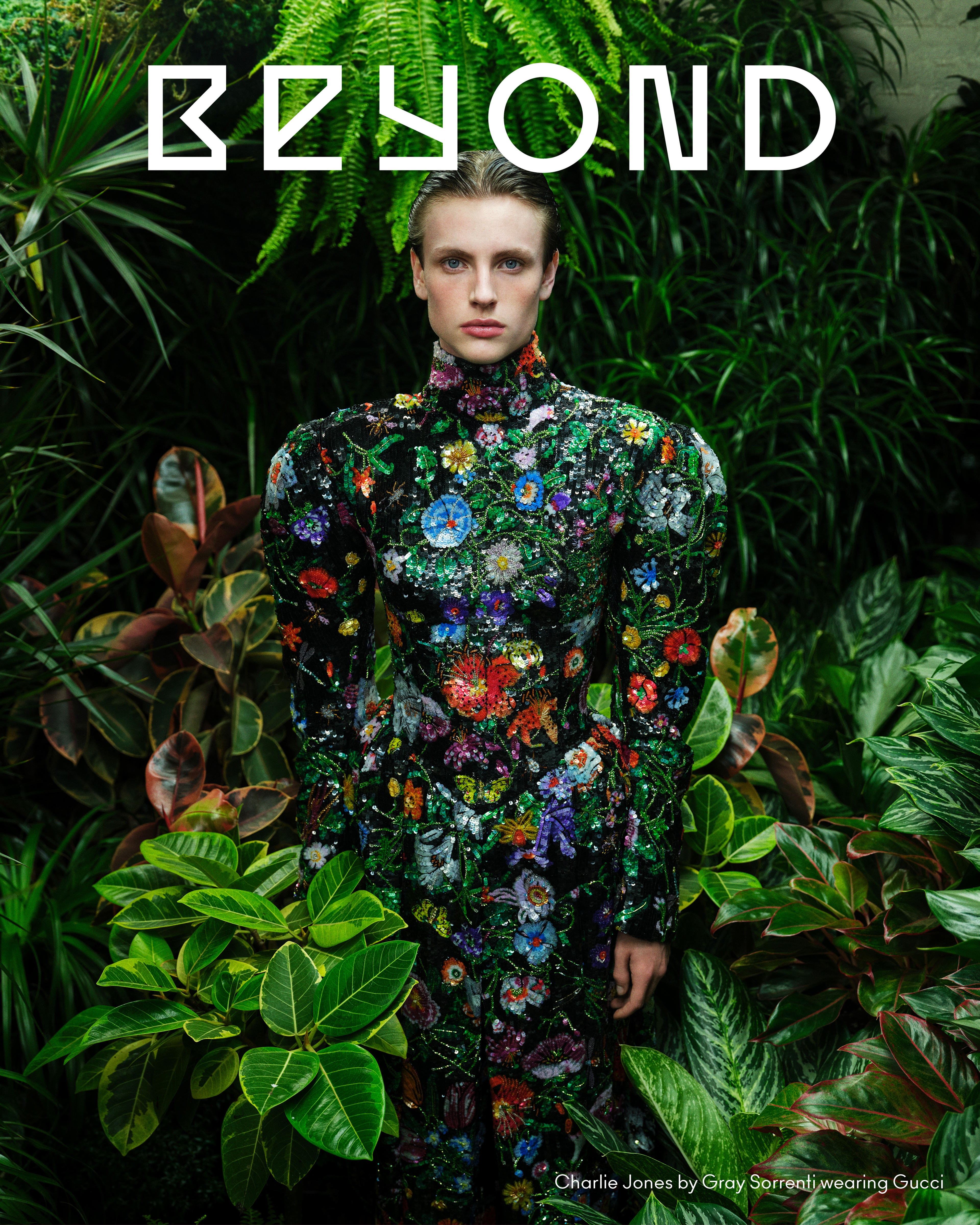 undefined | Beyond Noise