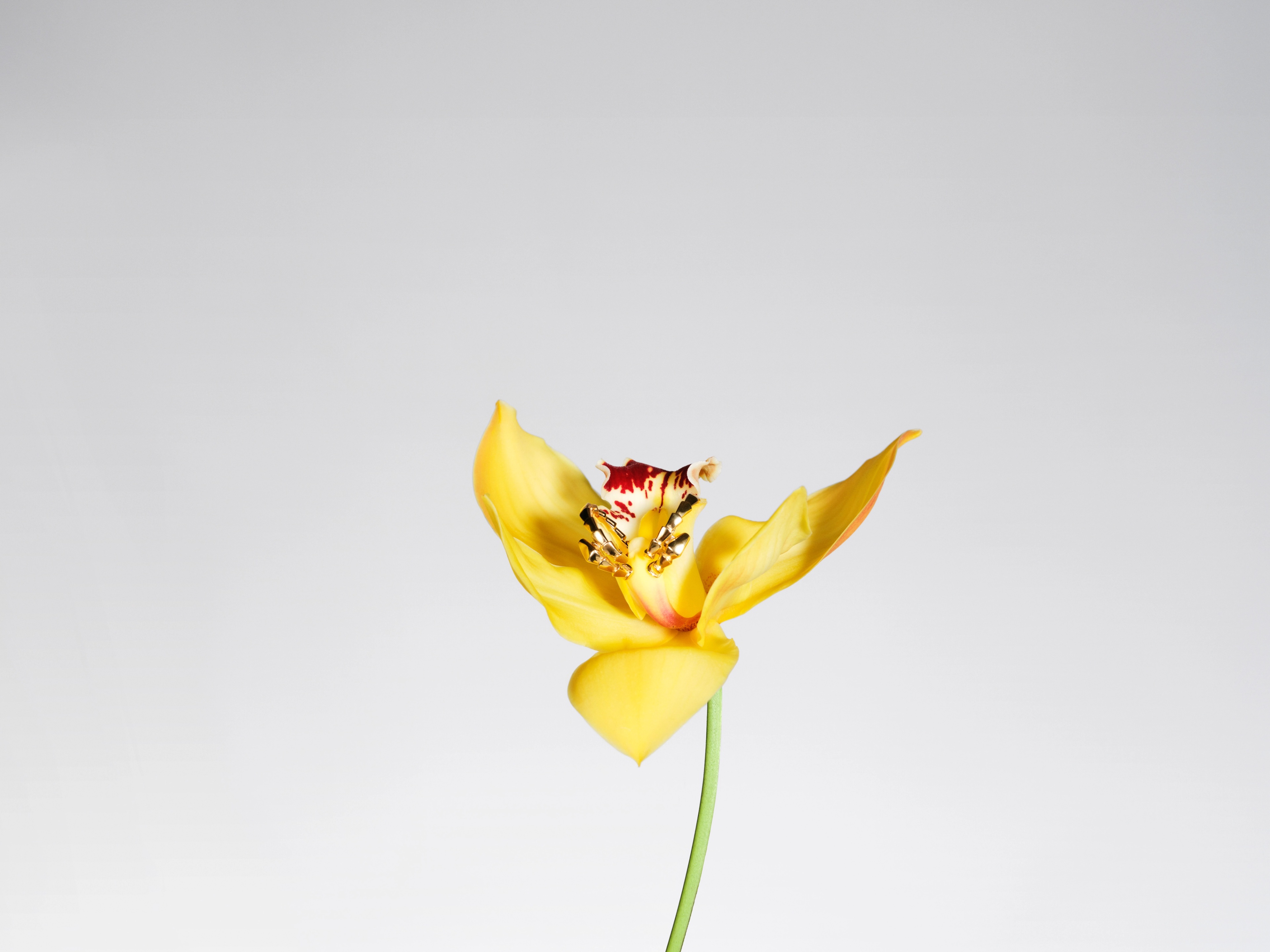 Richard Bush & Sarah Richardson | Beyond Noise