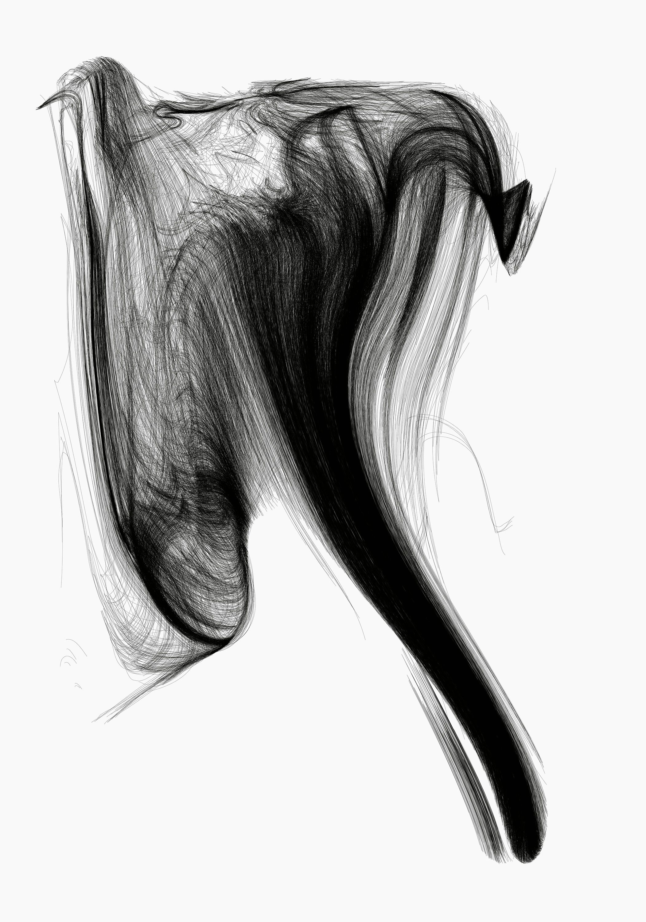 THE FEMALE VARIABLE | Beyond Noise