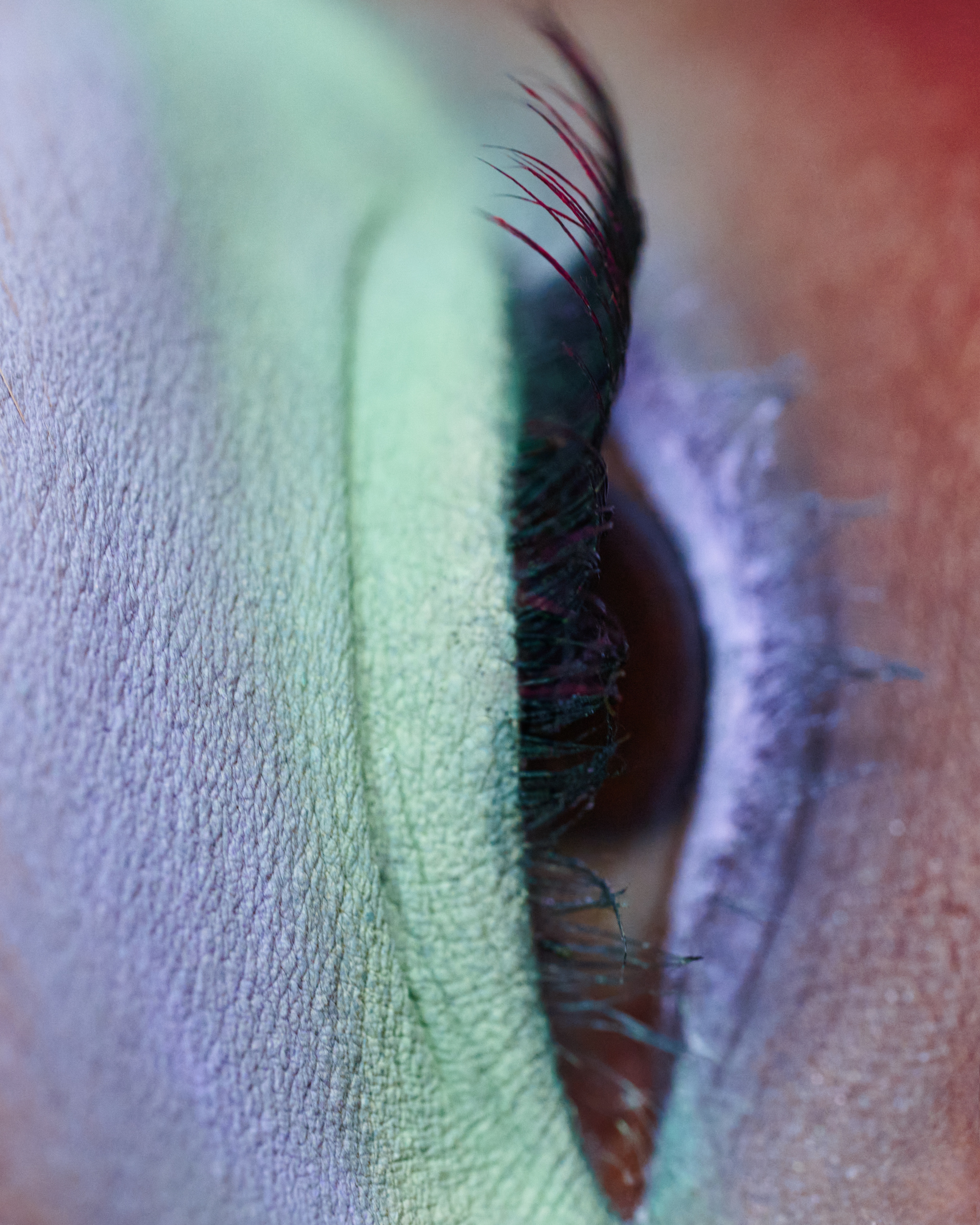 BEAUTY OF SUMMER BY BETINA DU TOIT & ALICE LEFONS | Beyond Noise