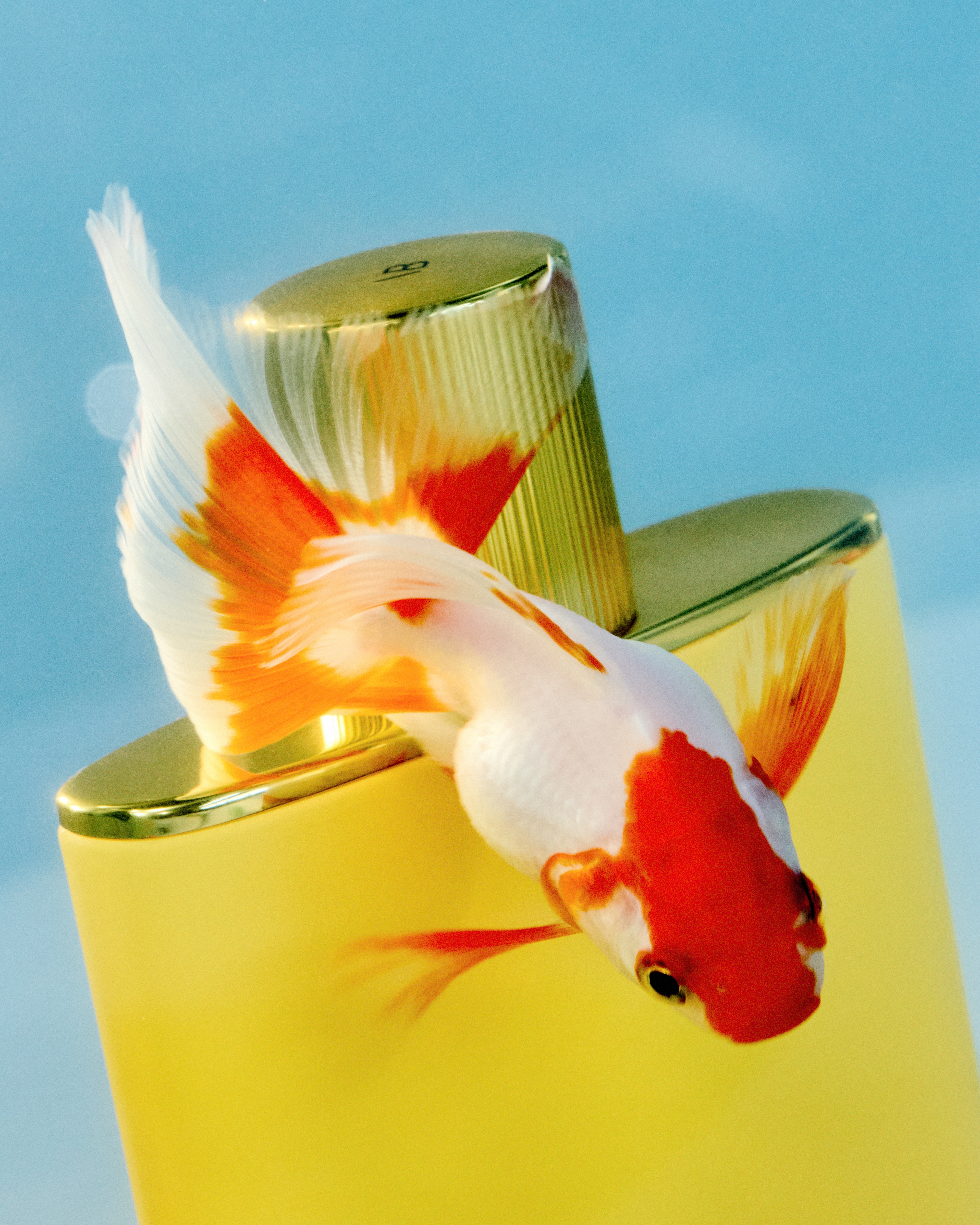 ALICE LEFONS & GRACE DIFFORD | Beyond Noise