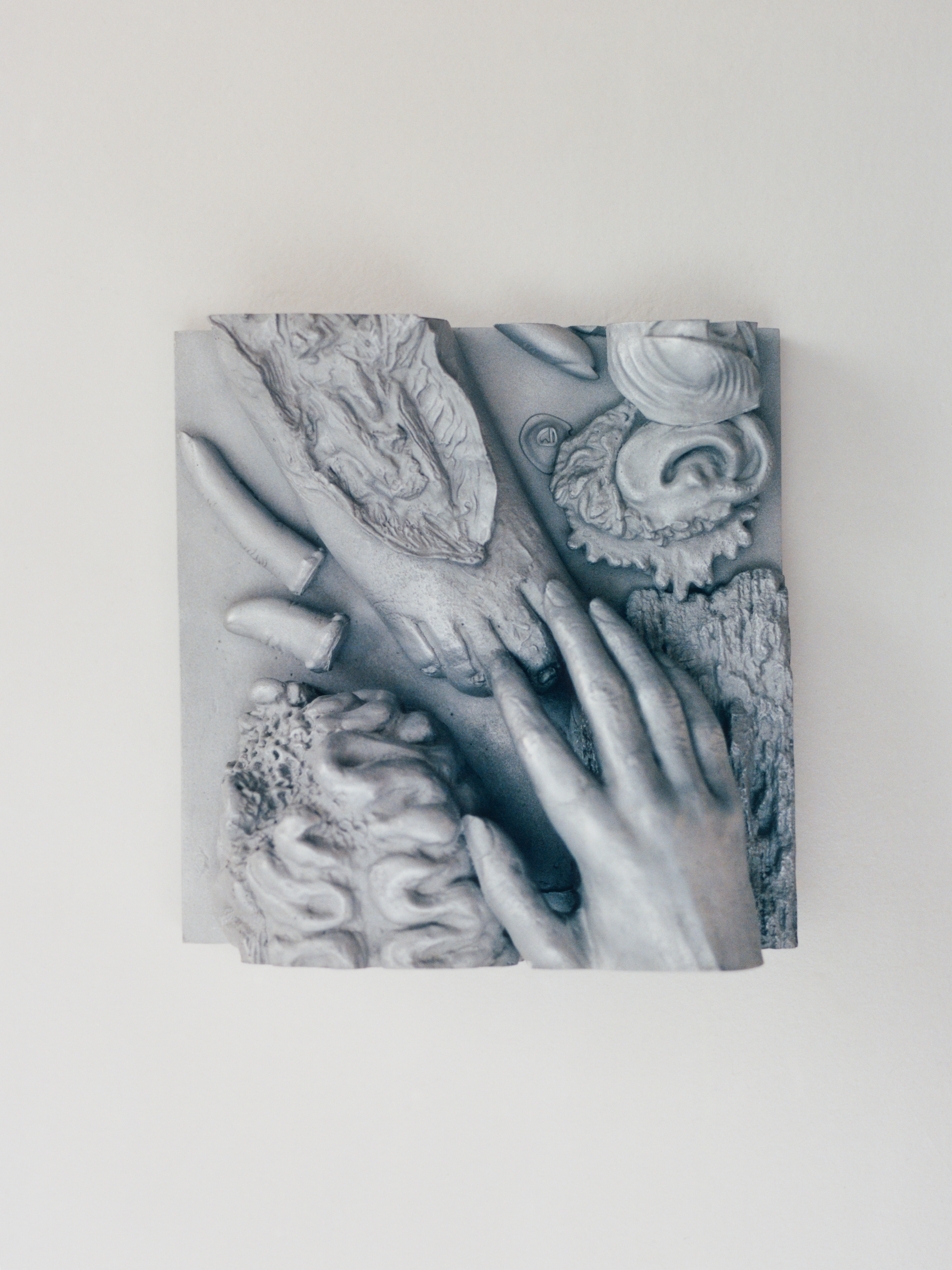 ISSUE NO. 05: ISABELLE CORNARO | Beyond Noise