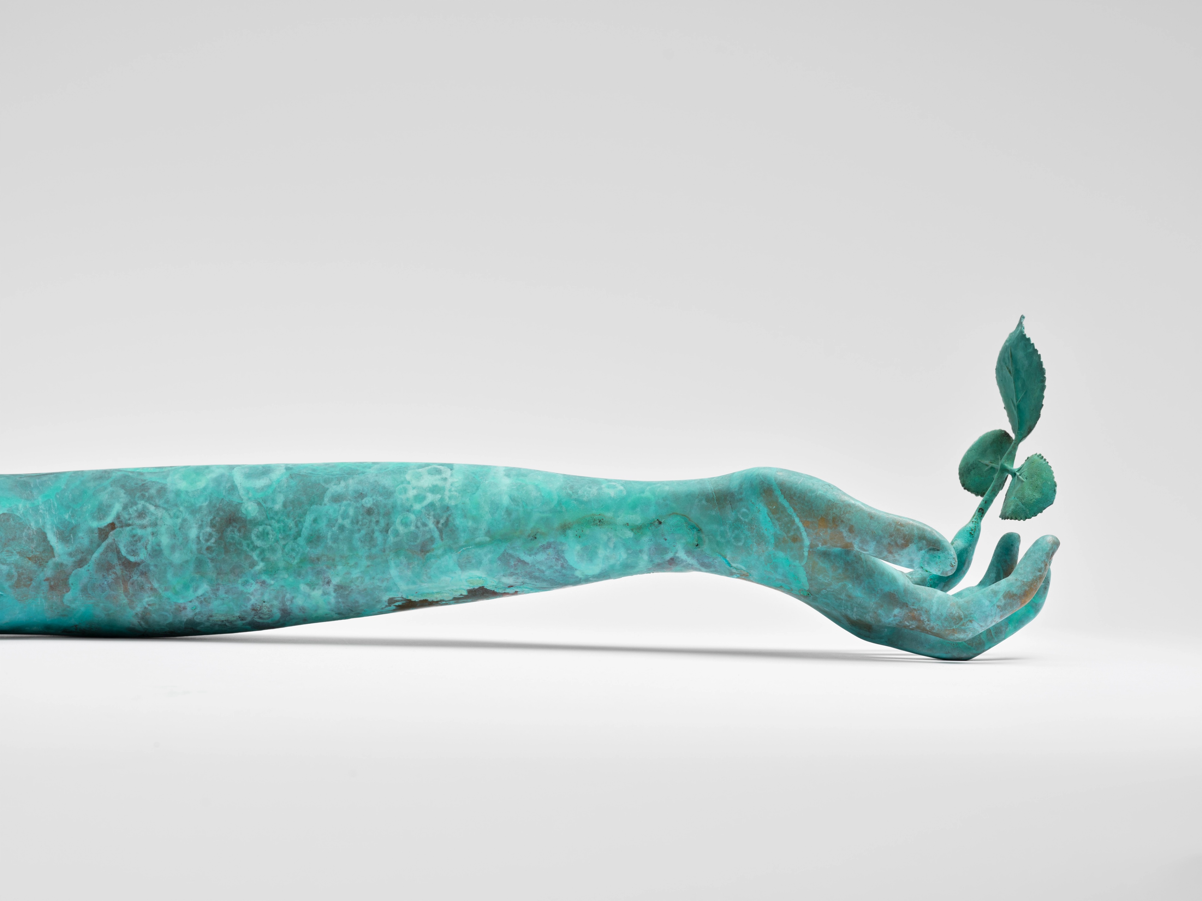 THE MEADOW: ISABELLE ALBUQUERQUE | Beyond Noise