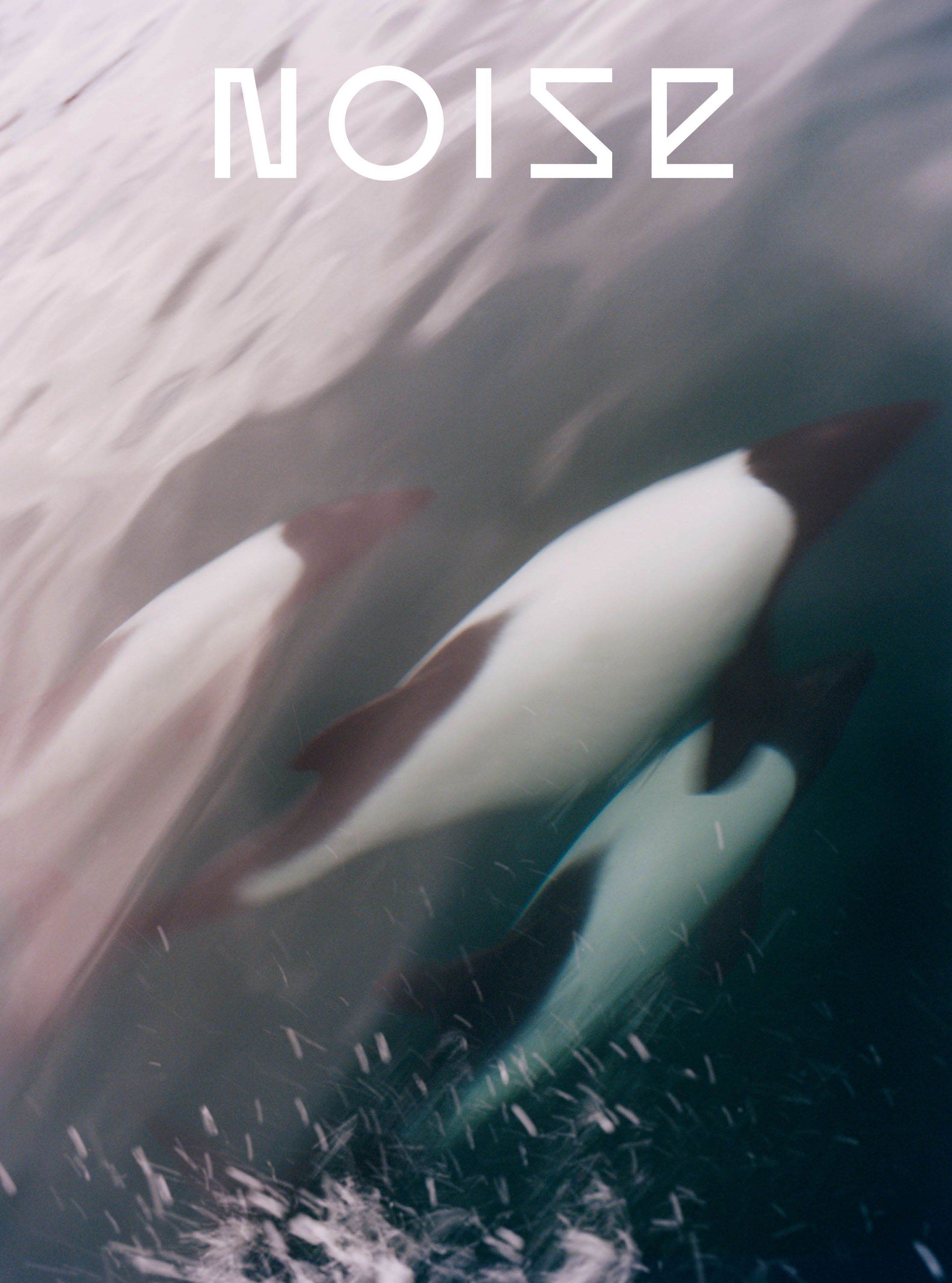 Vittoria Ceretti + Patagonia