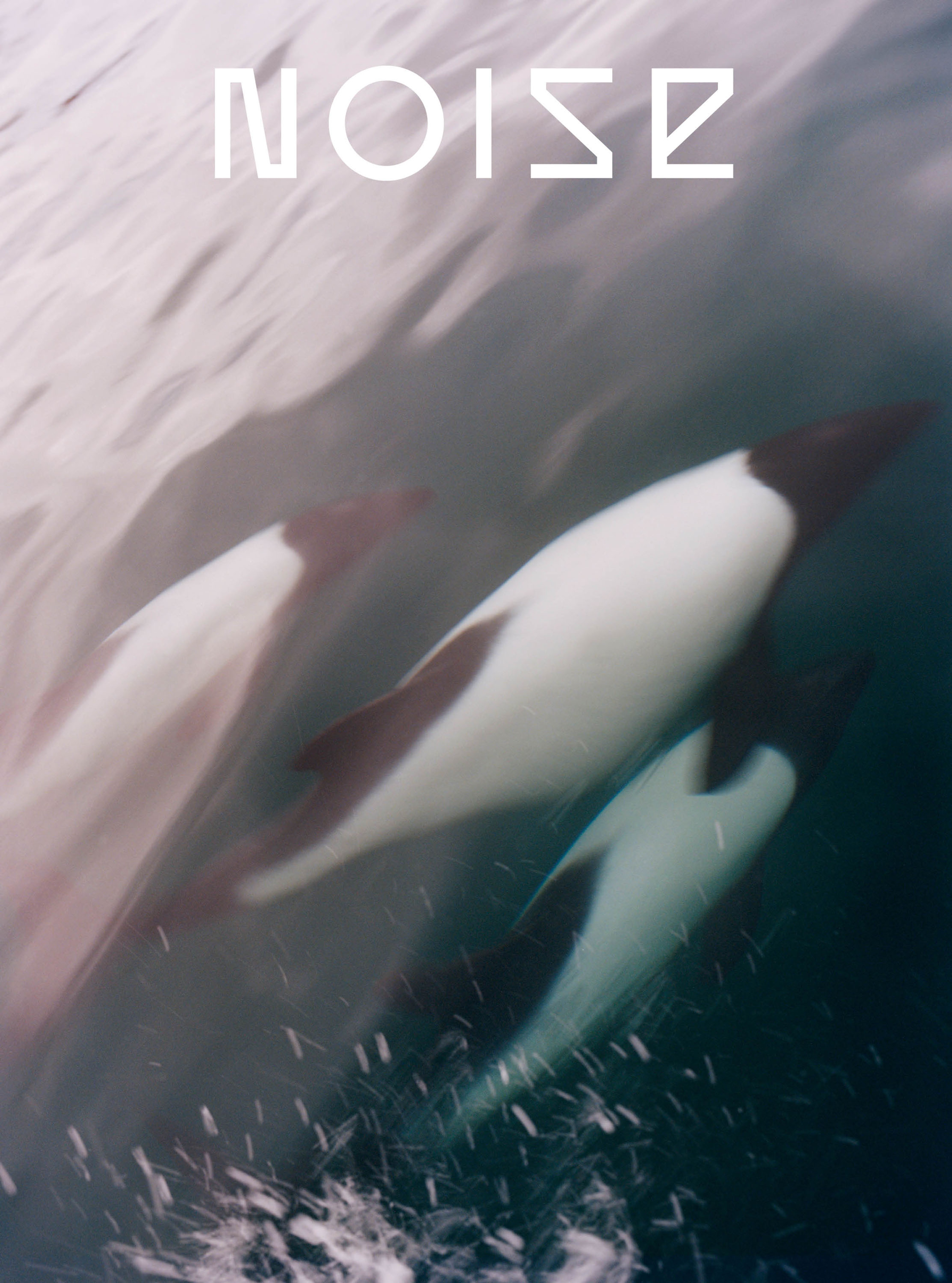 undefined | Beyond Noise