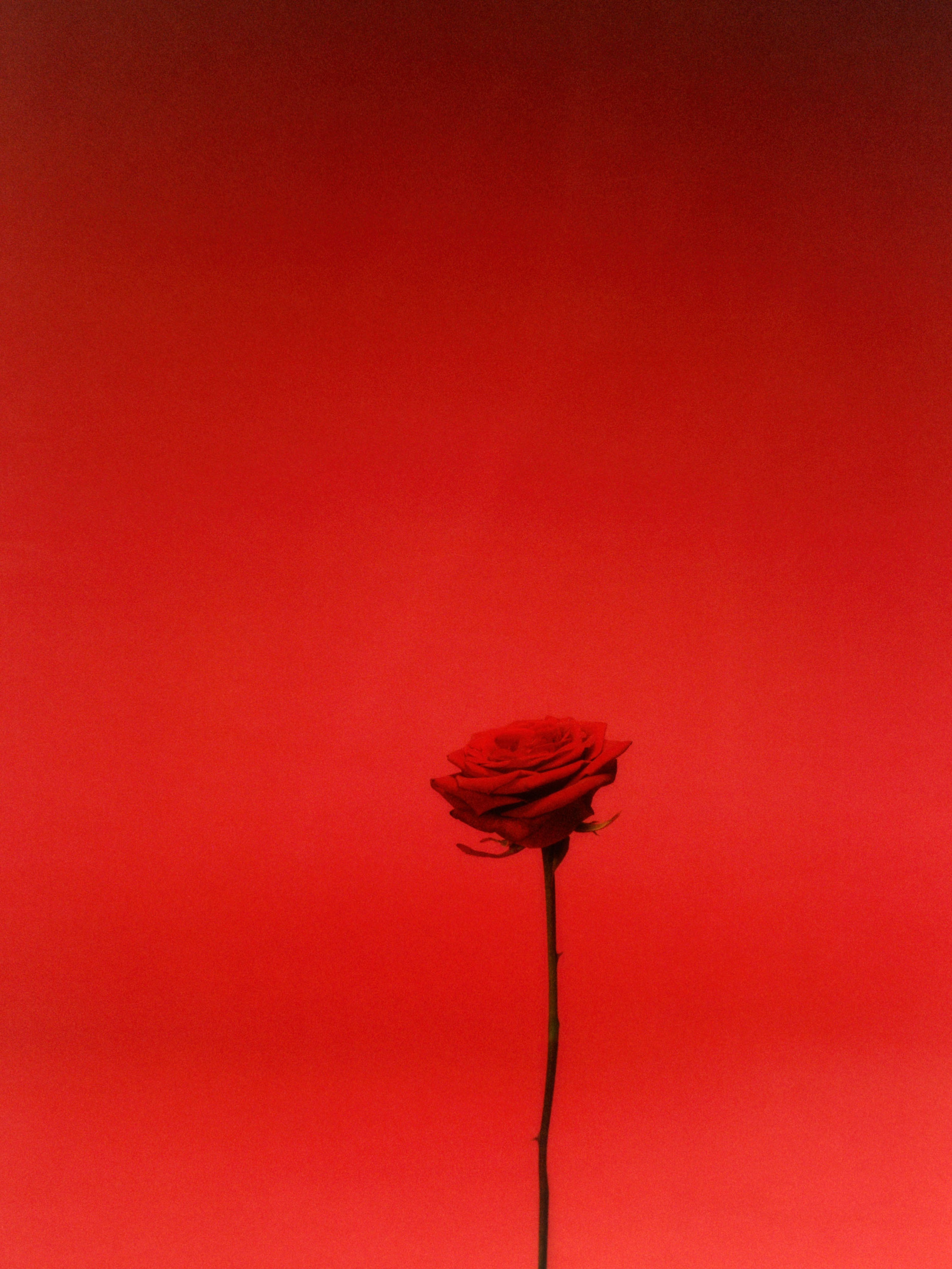 Larissa Hofmann & Sarah Richardson | Beyond Noise