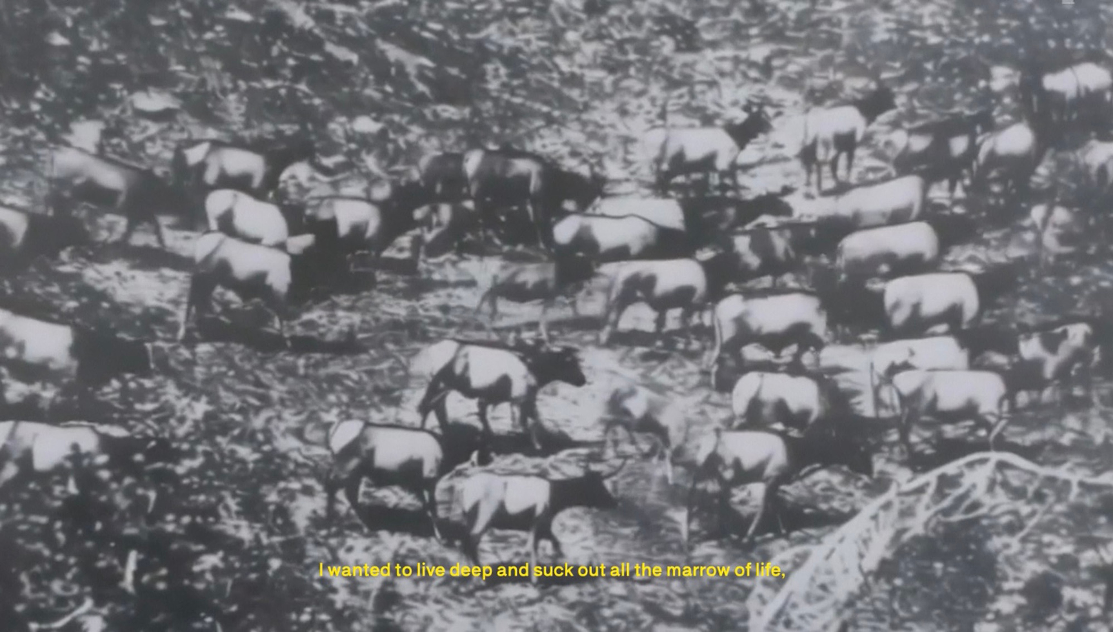 #CREATECOP29 | Beyond Noise