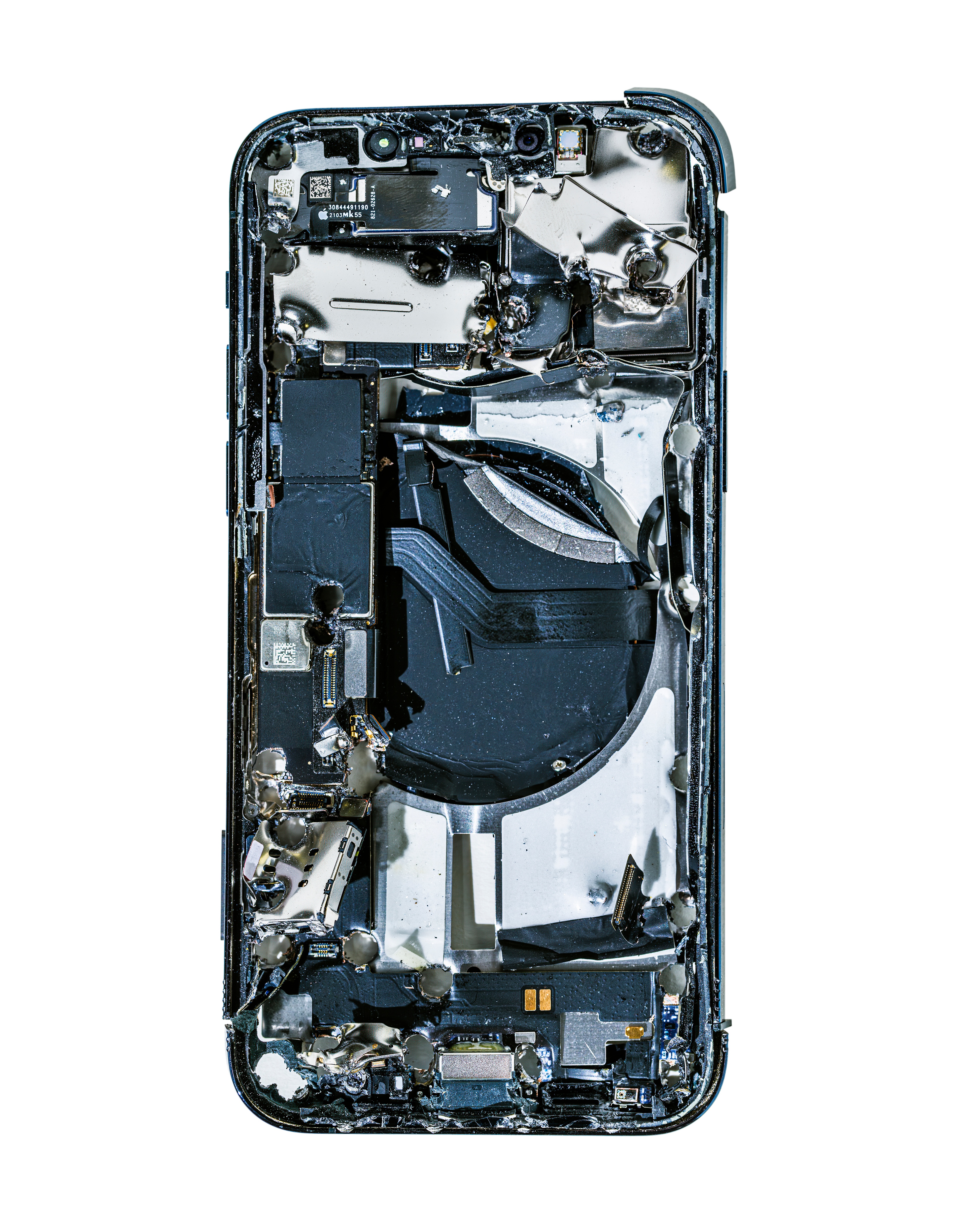 NATURE’S BLUEPRINT: DAISY THE ROBOT | Beyond Noise