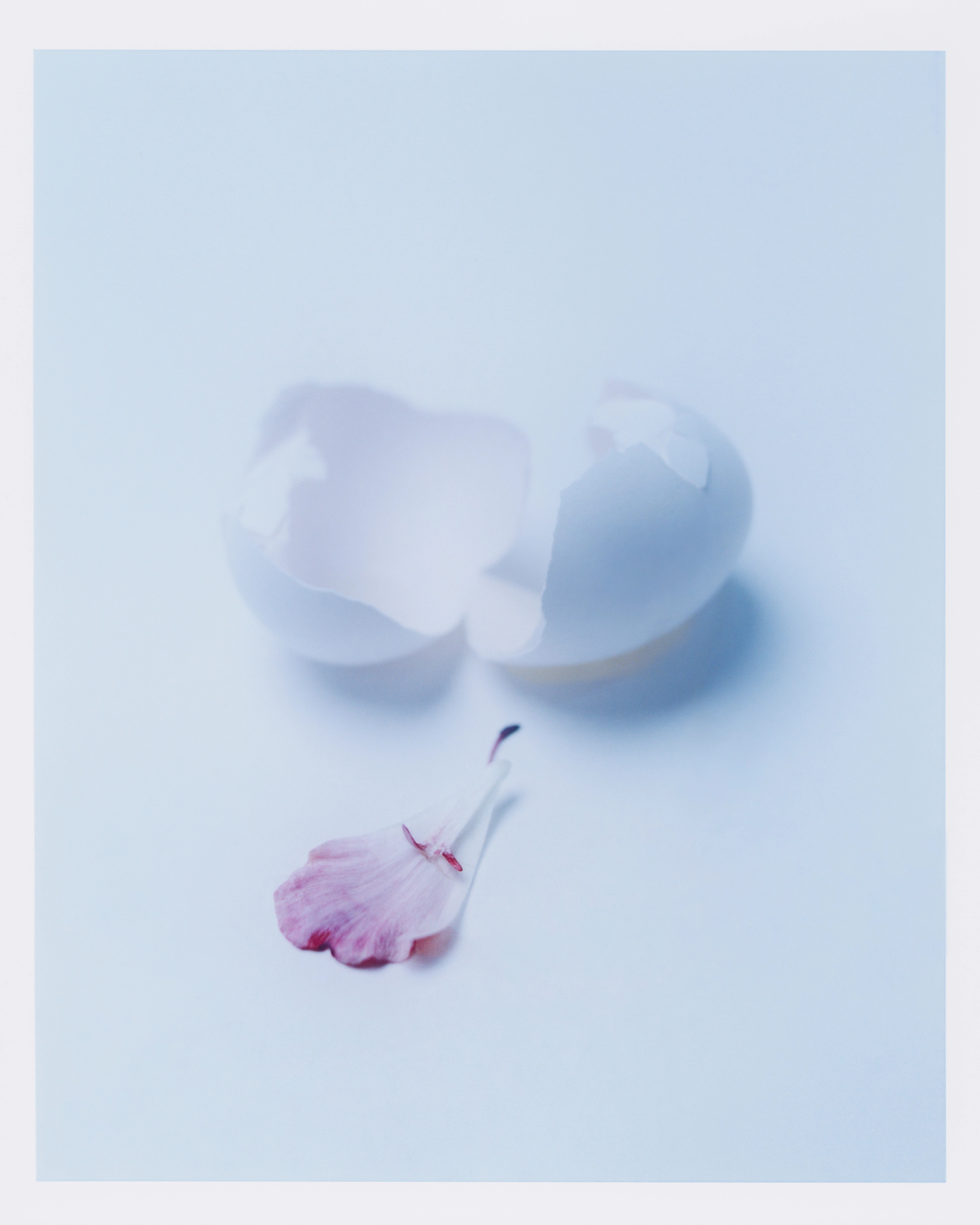 FANTASIZED AND INFANTILIZED | Beyond Noise